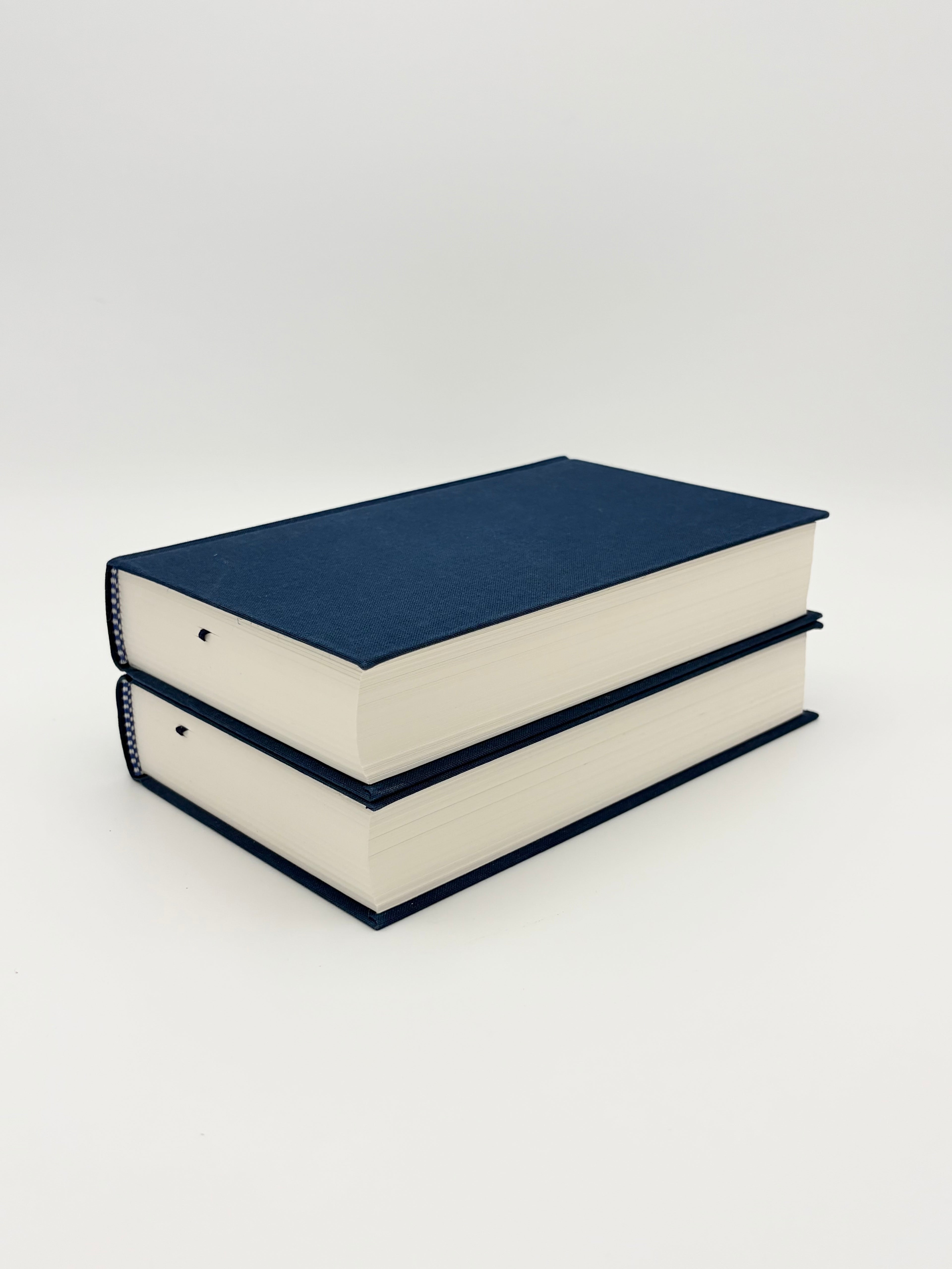 Harlem Renaissance - Library of America: Five Novels of the 1920s and Four Novels of the 1930s