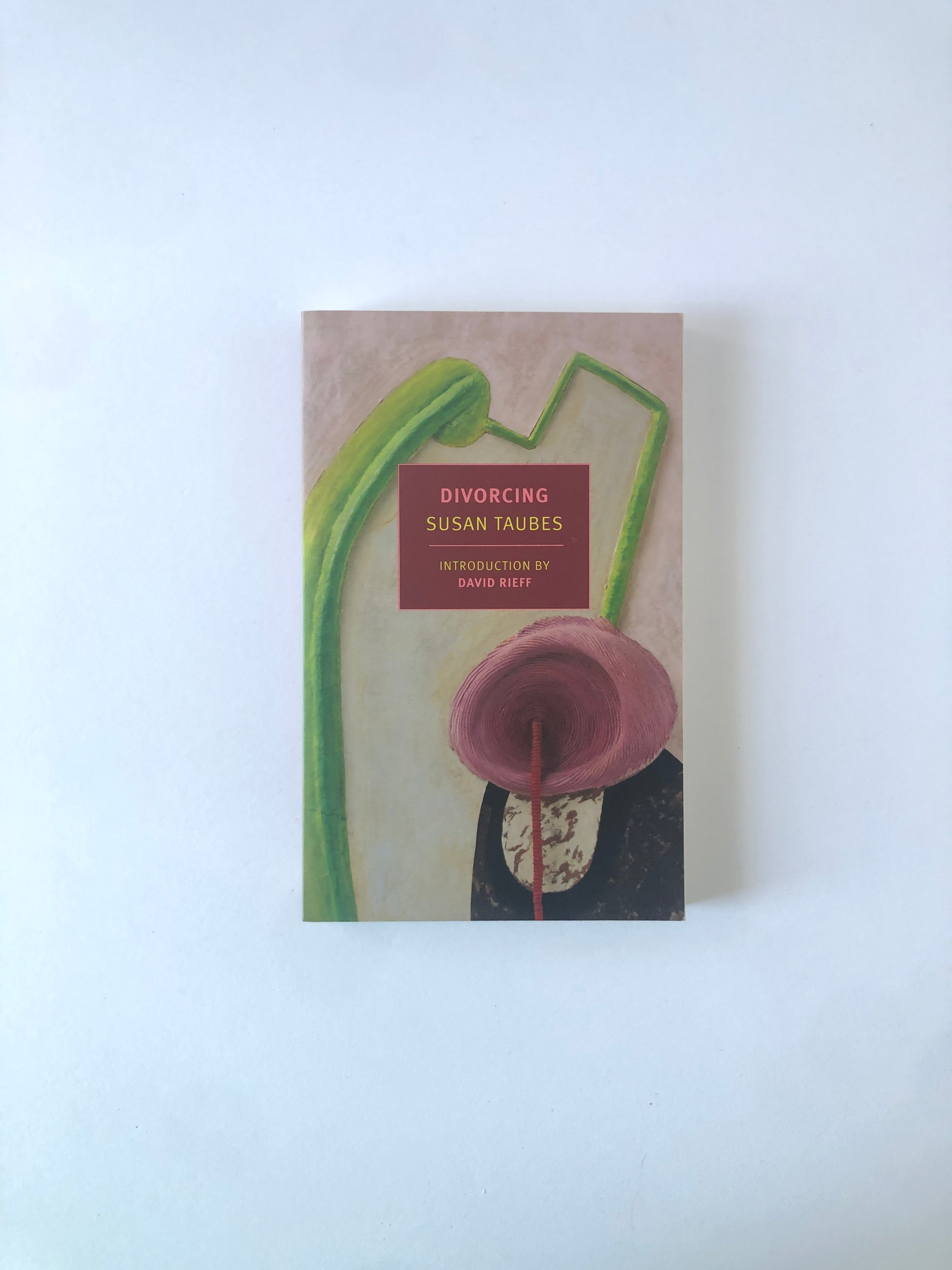 Divorcing by Susan Taubes - NYRB Classics