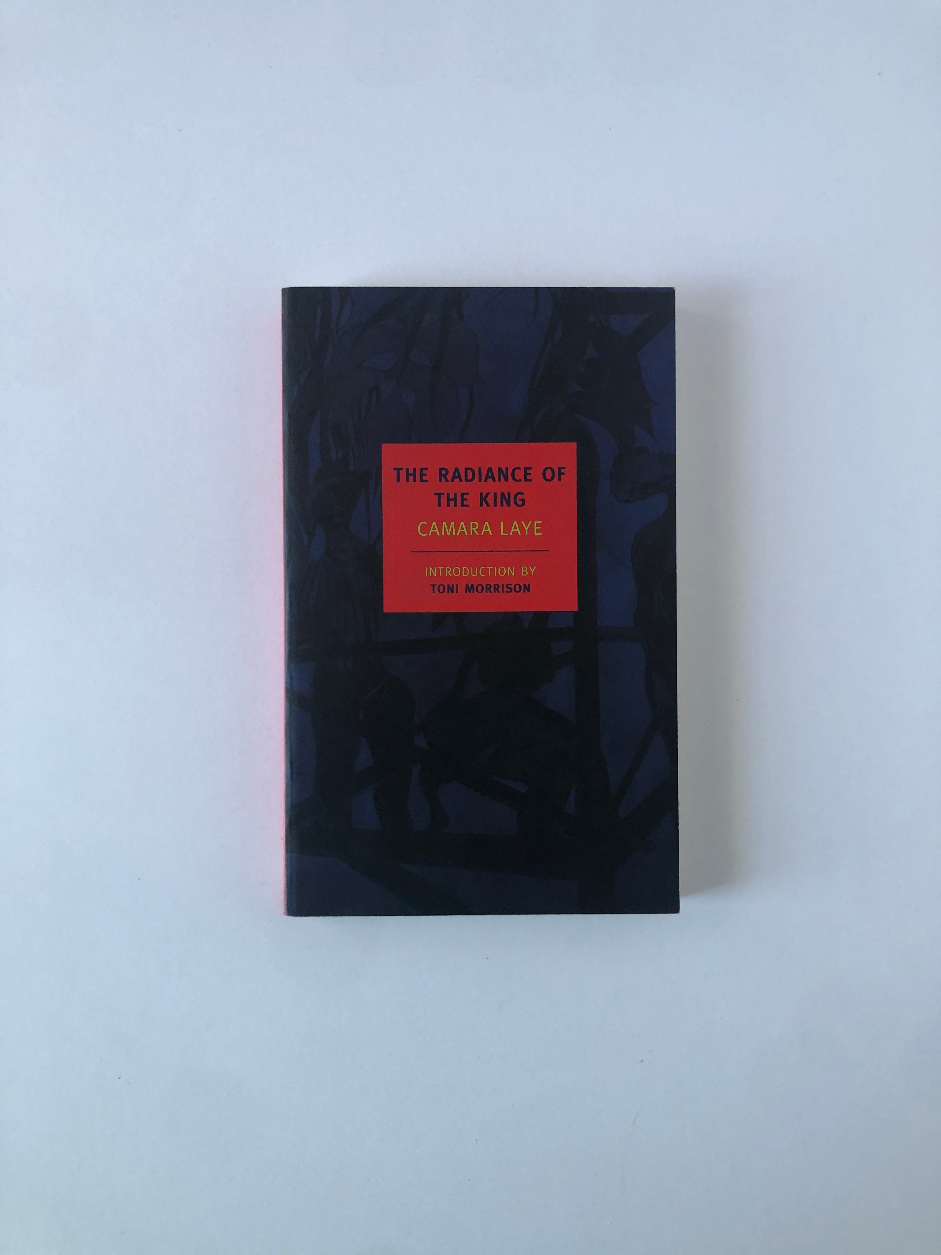 The Radiance of the King by Camara Laye - NYRB Classics