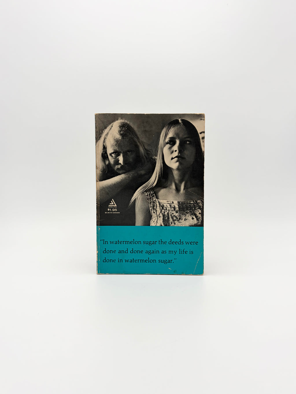 In Watermelon Sugar by Richard Brautigan