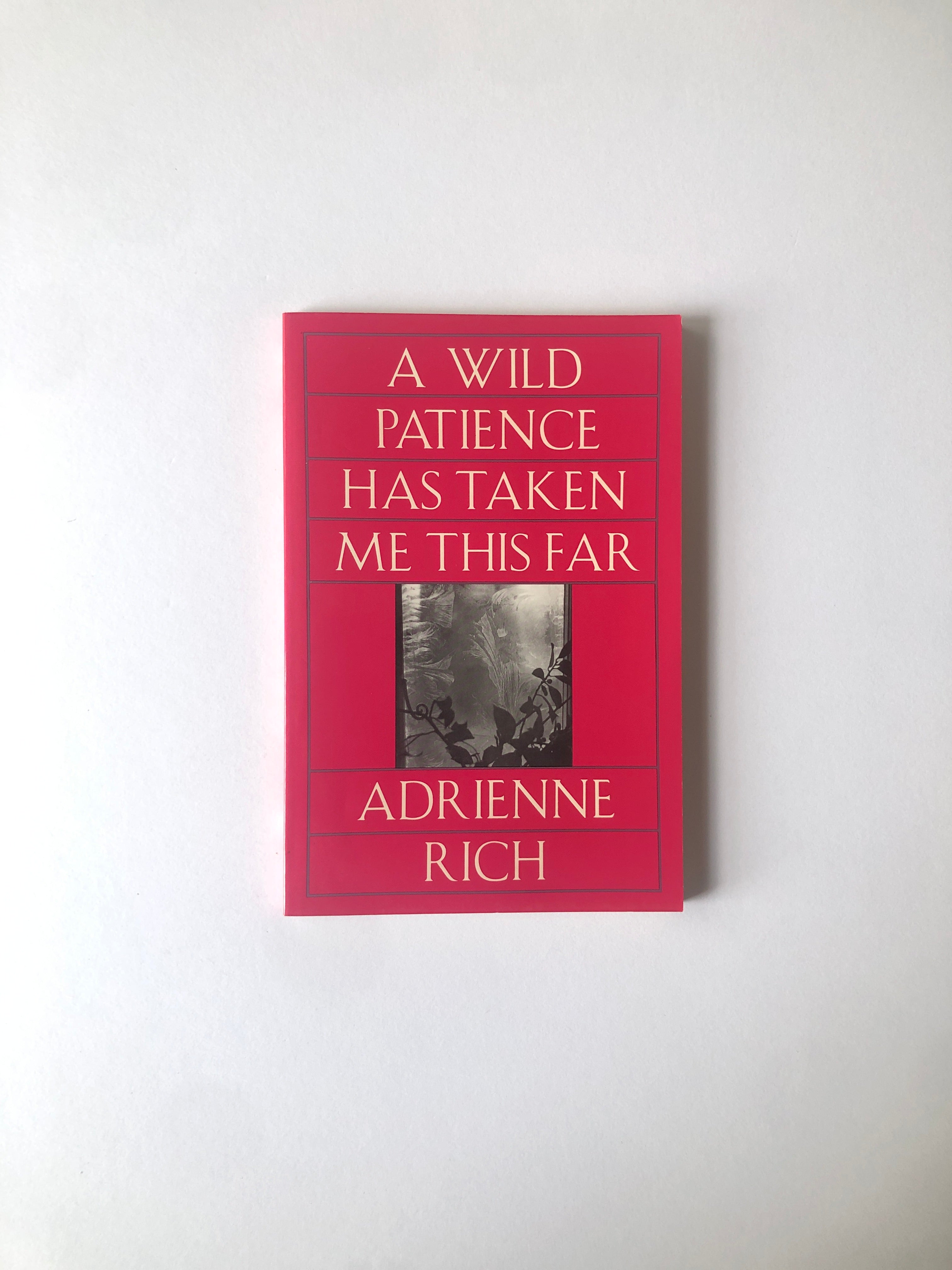 A Wild Patience Has Taken Me This Far by Adrienne Rich