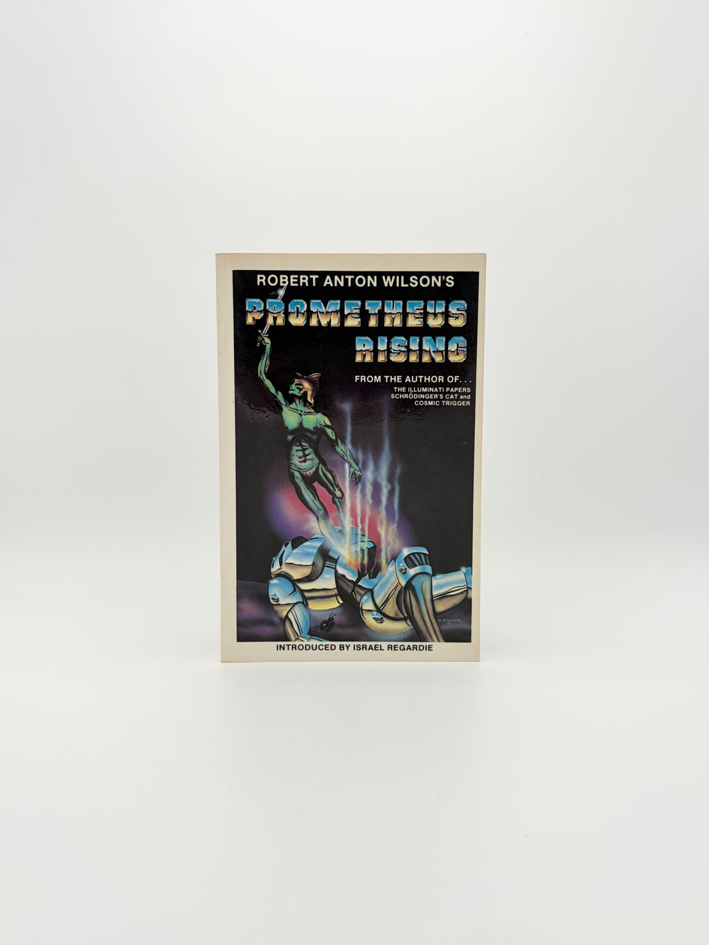 Prometheus Rising by Robert Anton Wilson
