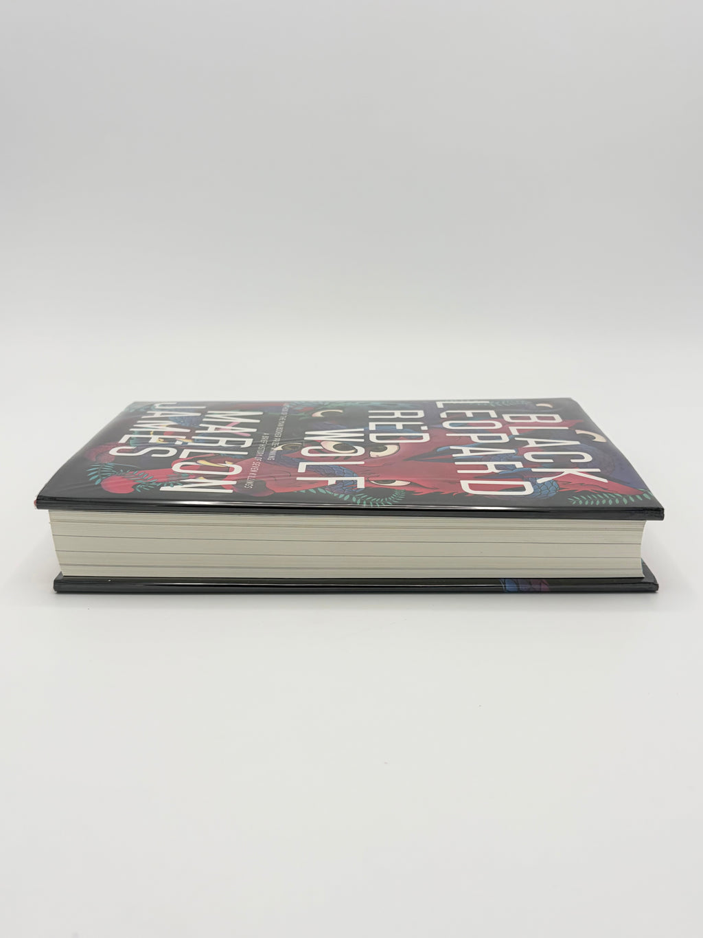Black Leopard, Red Wolf by Marlon James