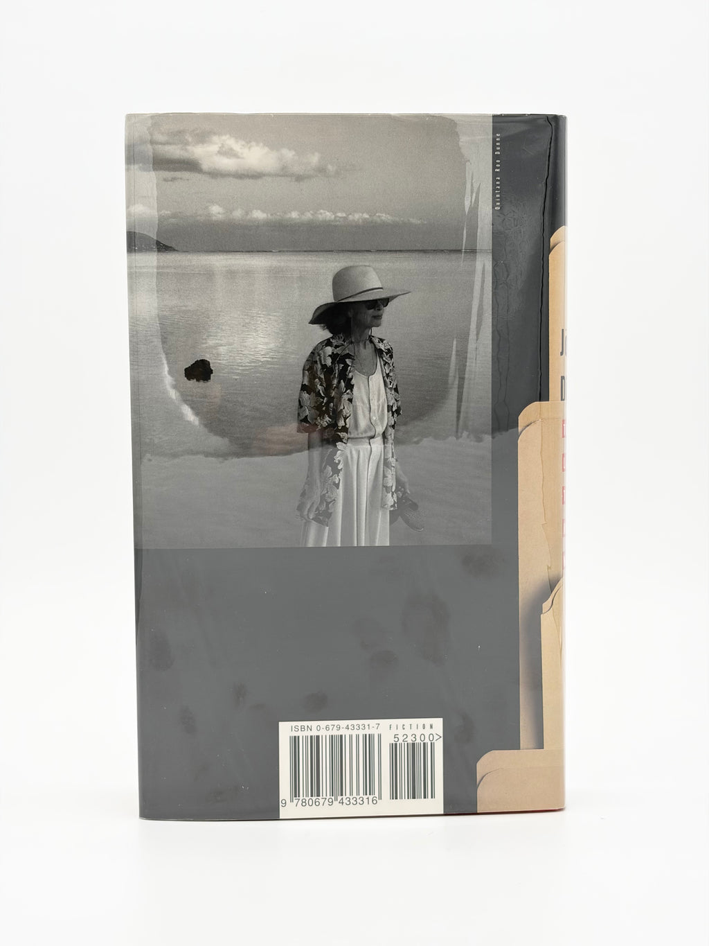 The Last Thing He Wanted by Joan Didion