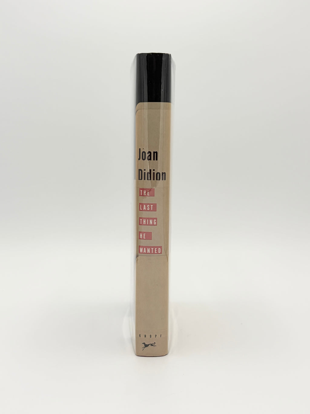 The Last Thing He Wanted by Joan Didion