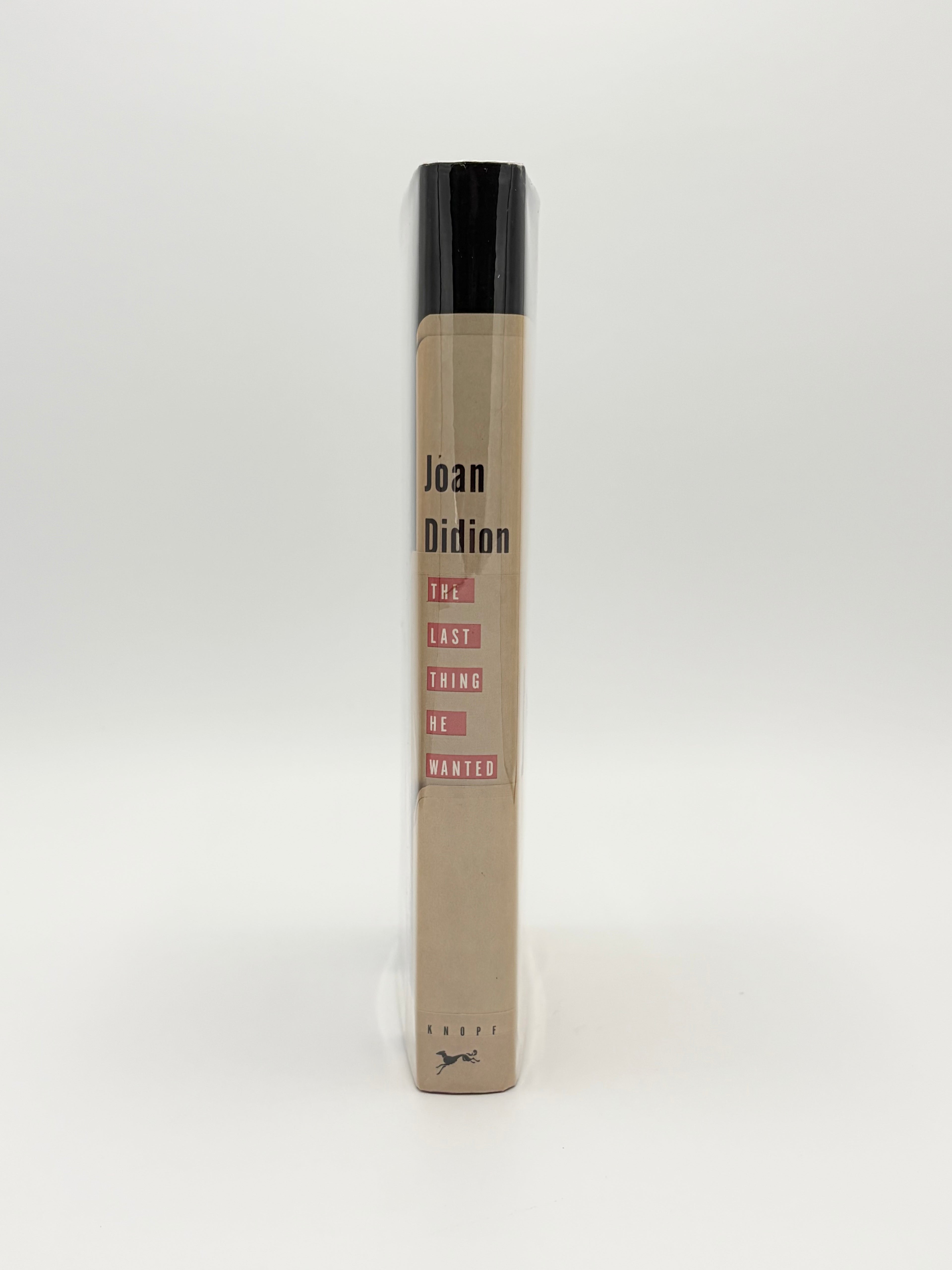 The Last Thing He Wanted by Joan Didion