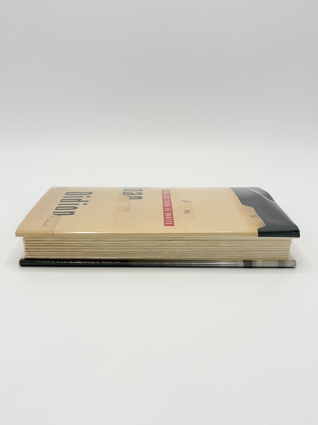 The Last Thing He Wanted by Joan Didion