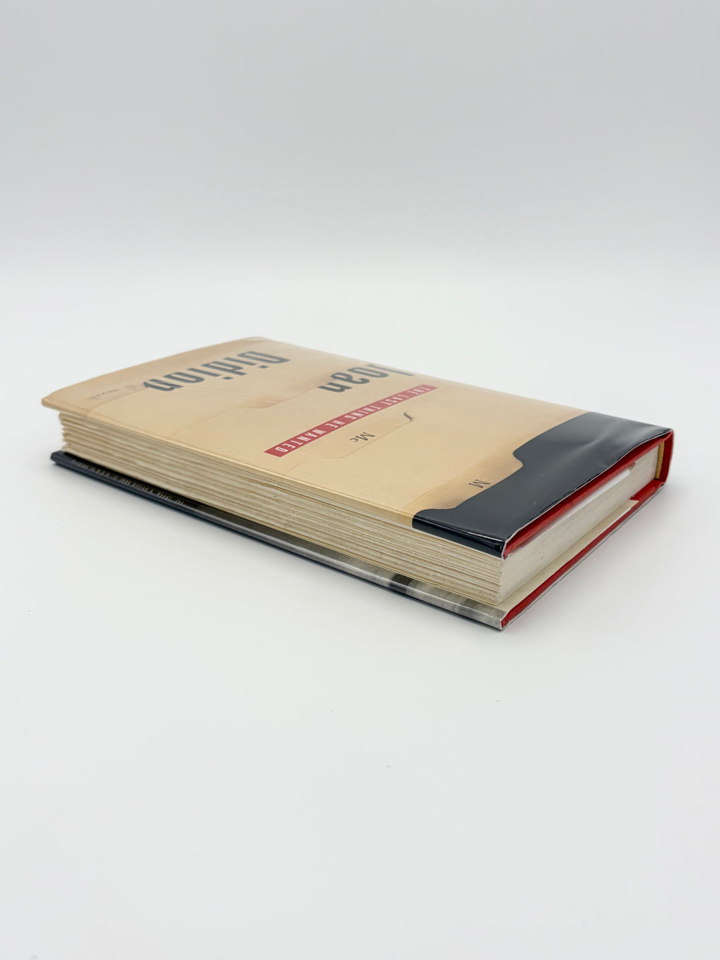 The Last Thing He Wanted by Joan Didion