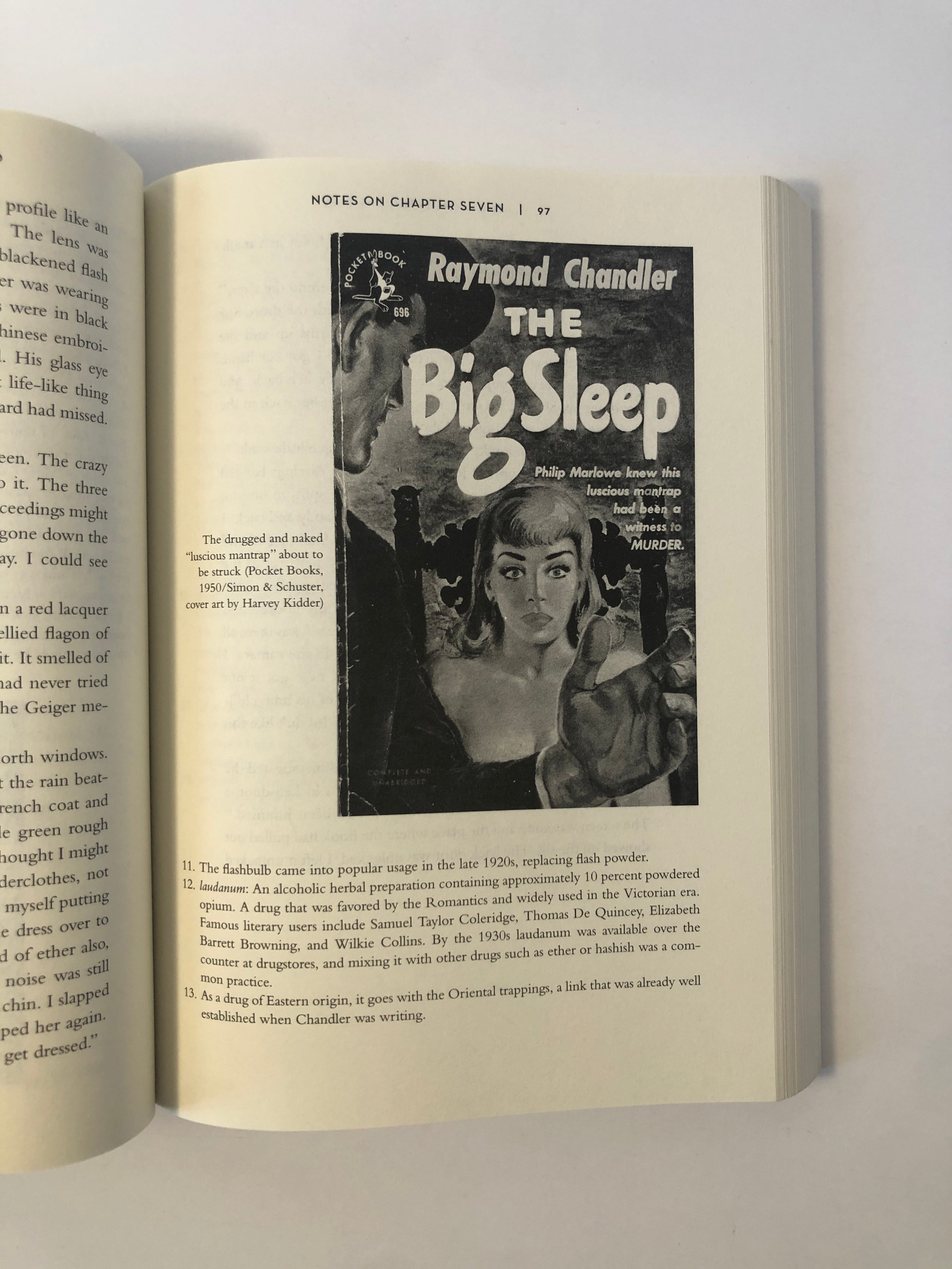 The Annotated Big Sleep by Raymond Chandler
