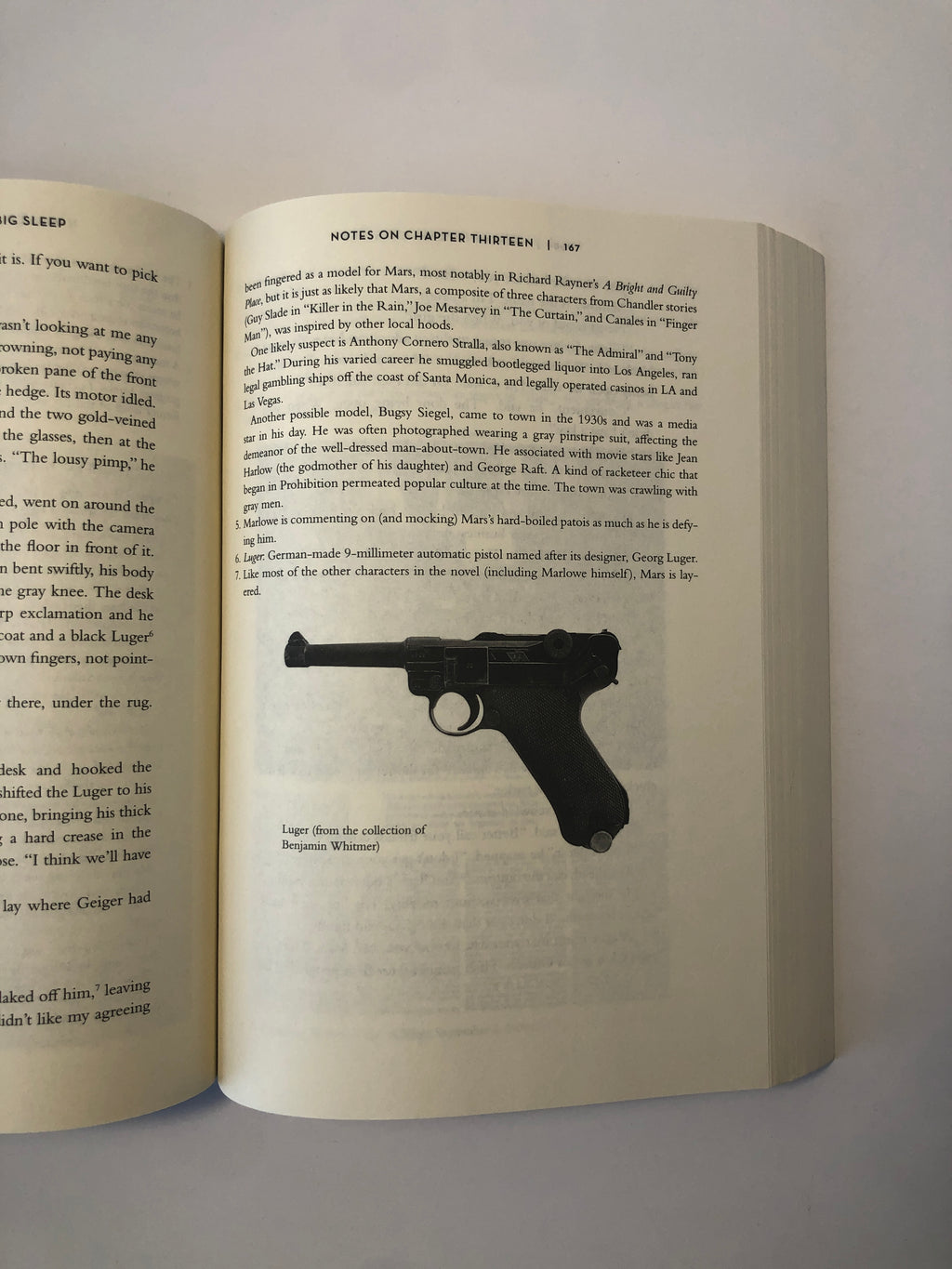 The Annotated Big Sleep by Raymond Chandler