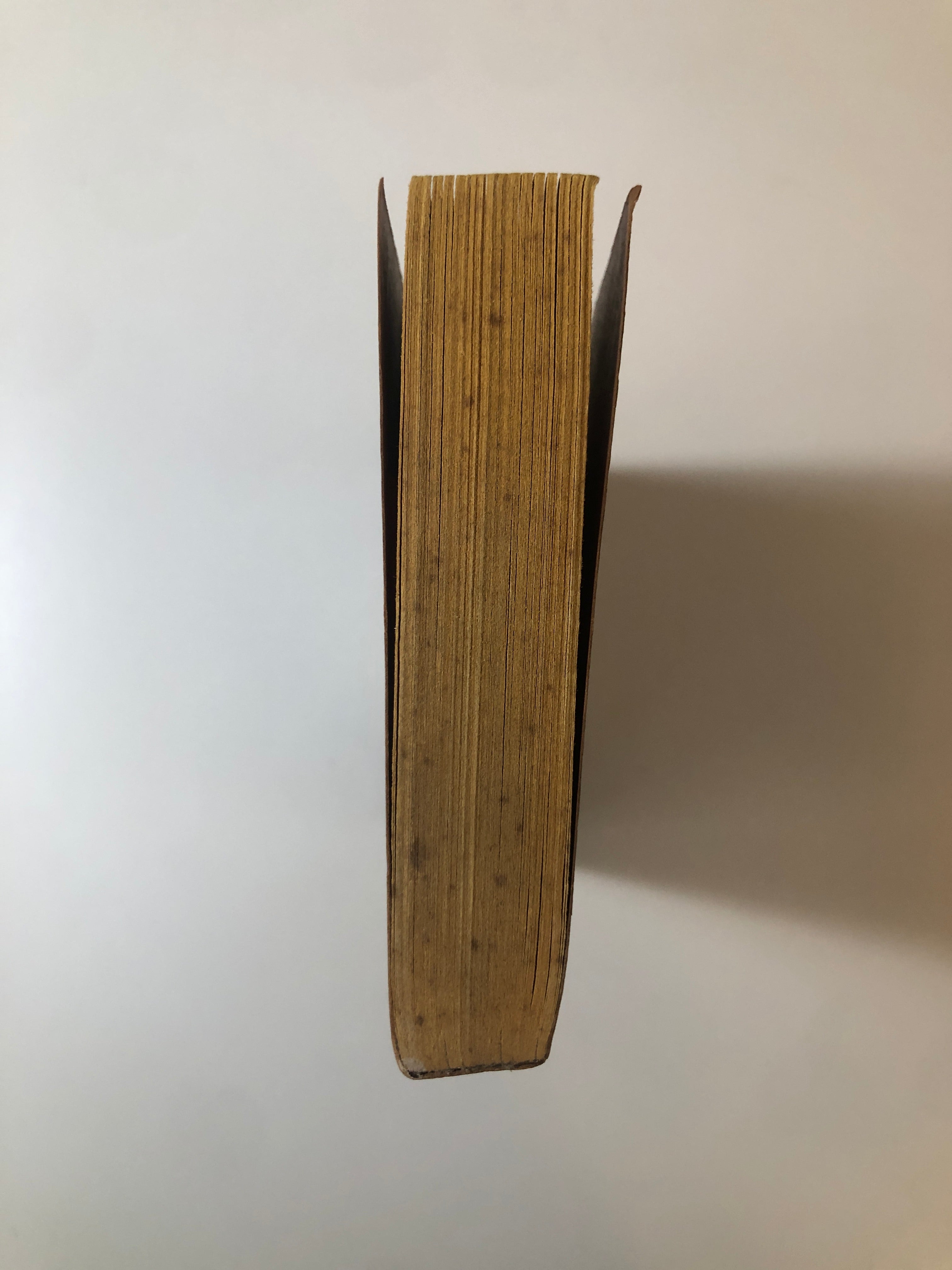 The Claw of the Conciliator by Gene Wolfe