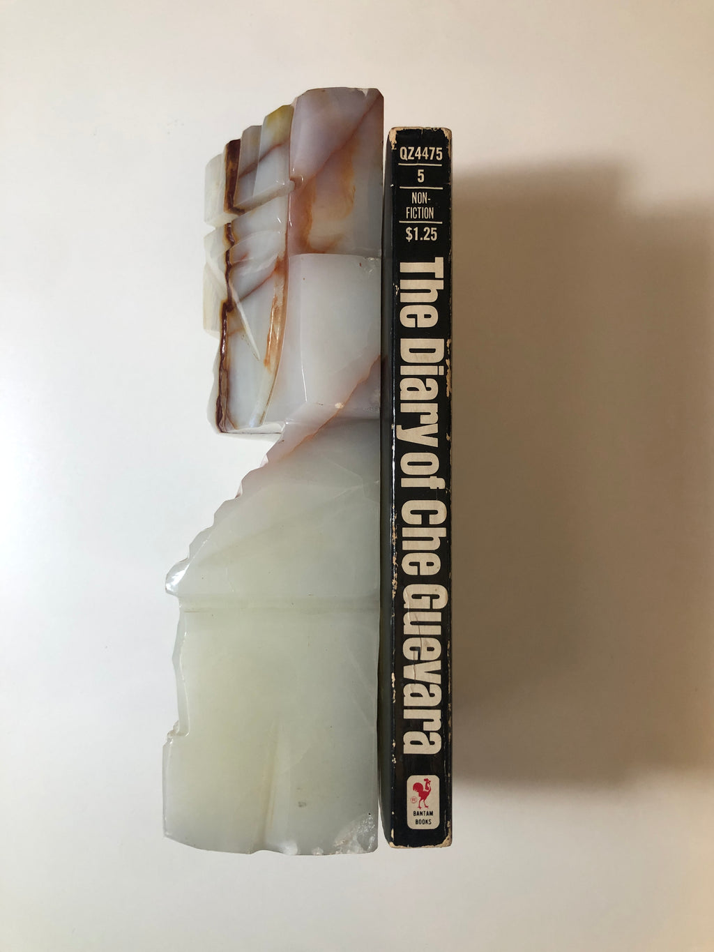 The Diary of Che Guevara: The Secrets Papers of a Revolutionary