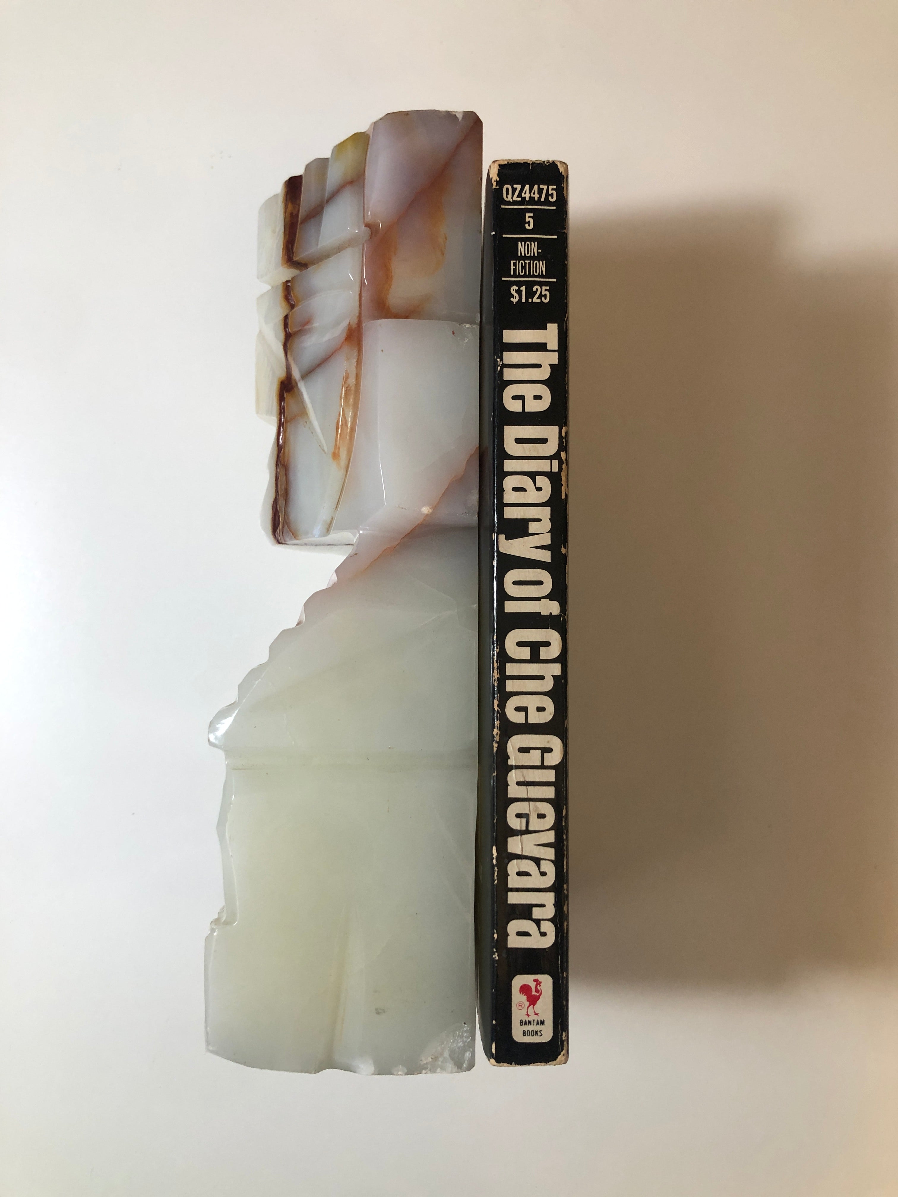 The Diary of Che Guevara: The Secrets Papers of a Revolutionary