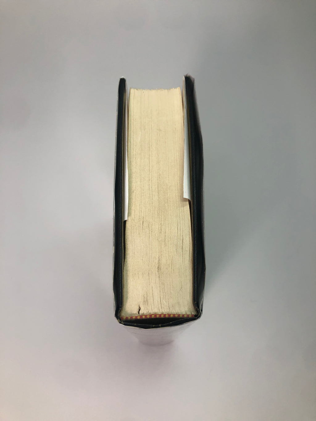 The Godfather by Mario Puzo