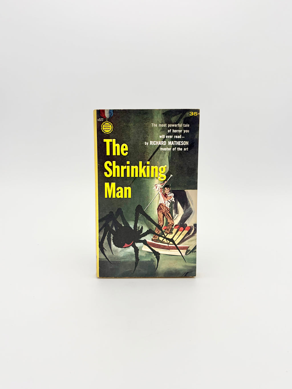 The Shrinking Man by Richard Matheson
