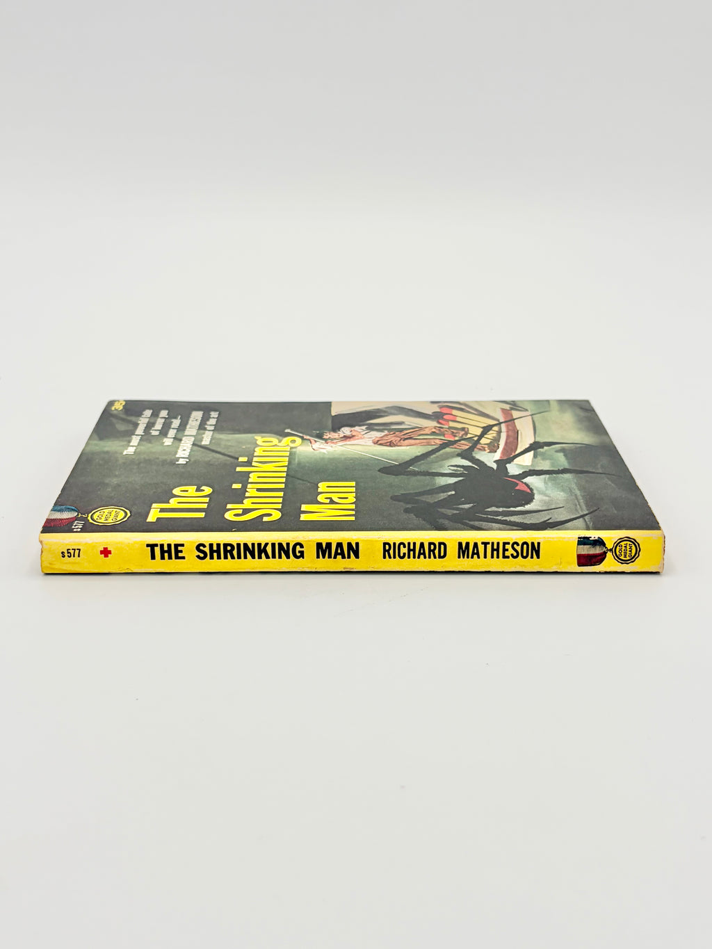 The Shrinking Man by Richard Matheson