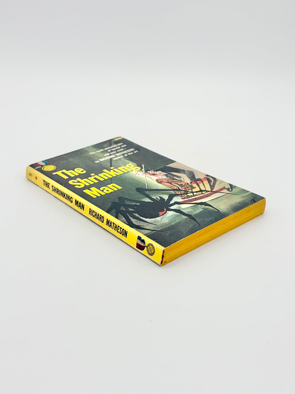 The Shrinking Man by Richard Matheson
