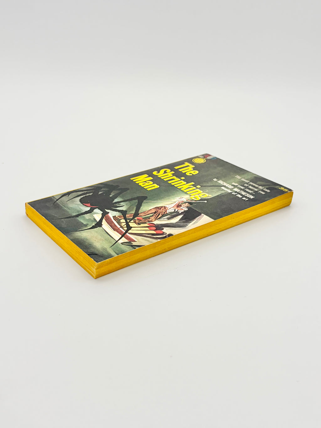The Shrinking Man by Richard Matheson