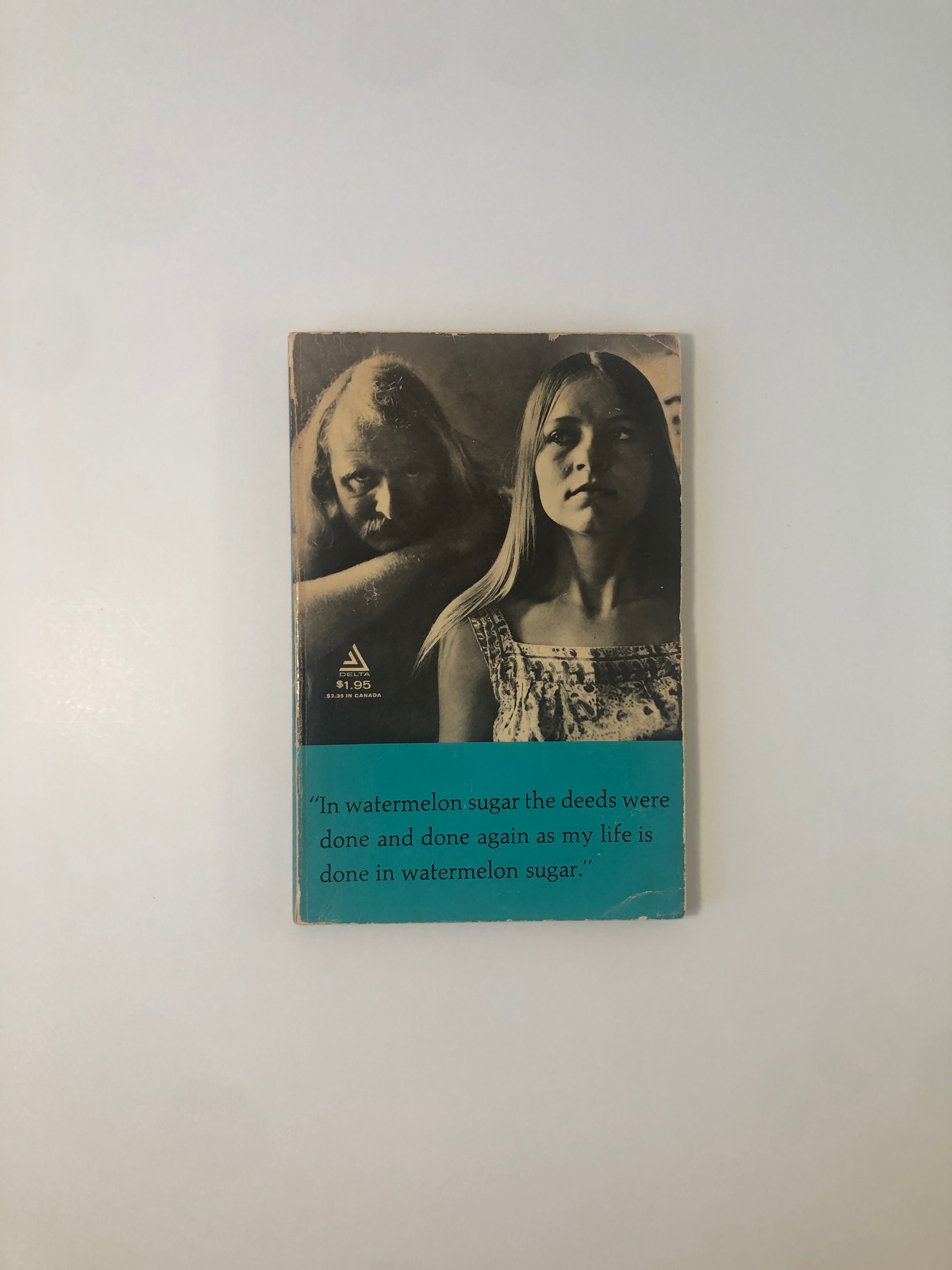 In Watermelon Sugar by Richard Brautigan