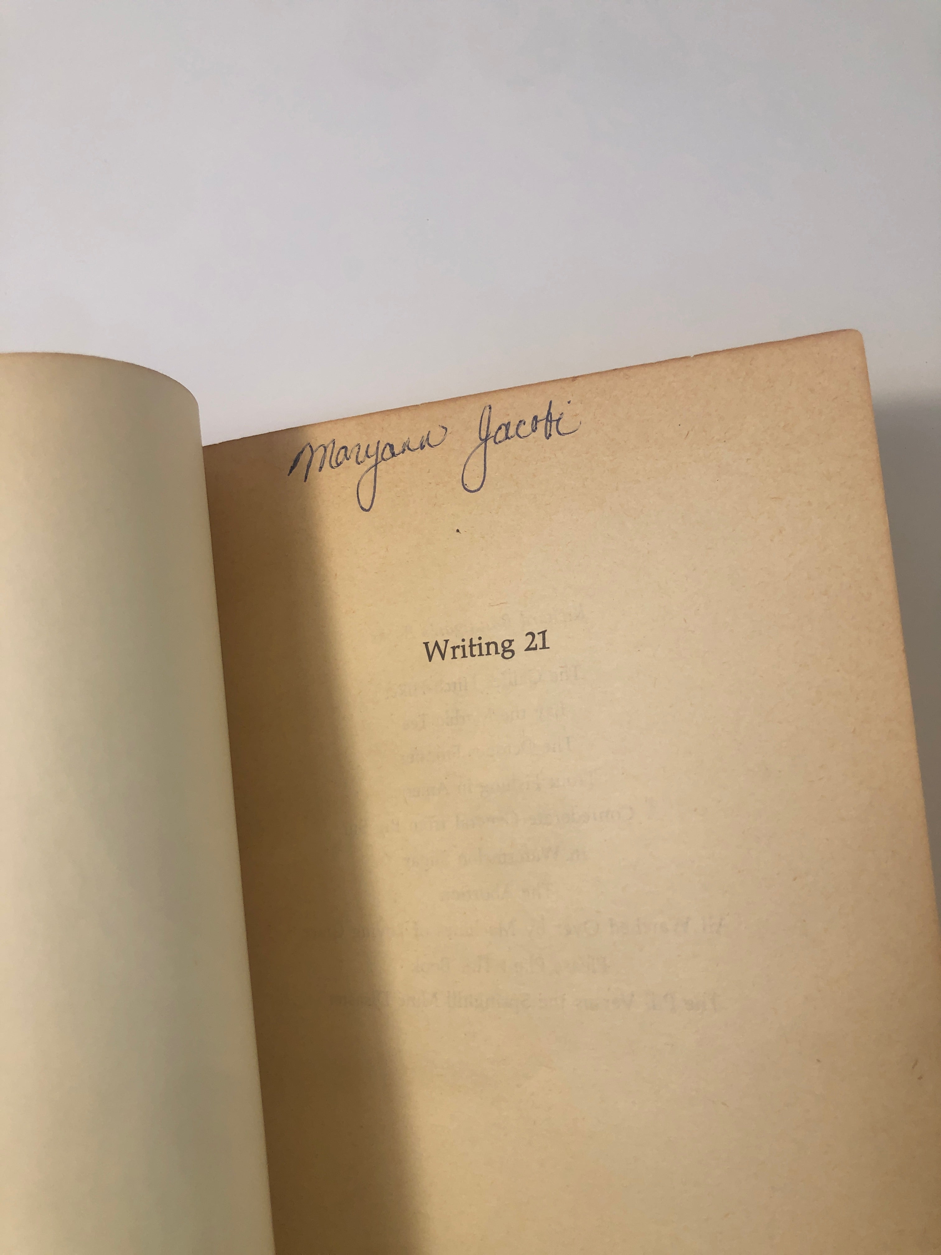 In Watermelon Sugar by Richard Brautigan