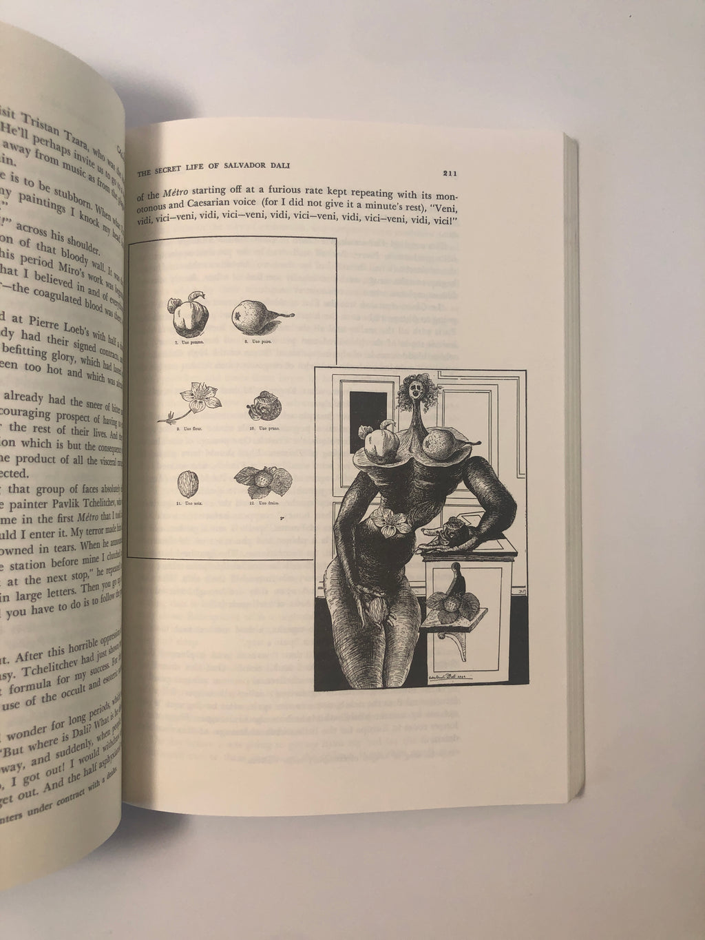 The Secret Life of Salvador Dalí by Salvador Dalí