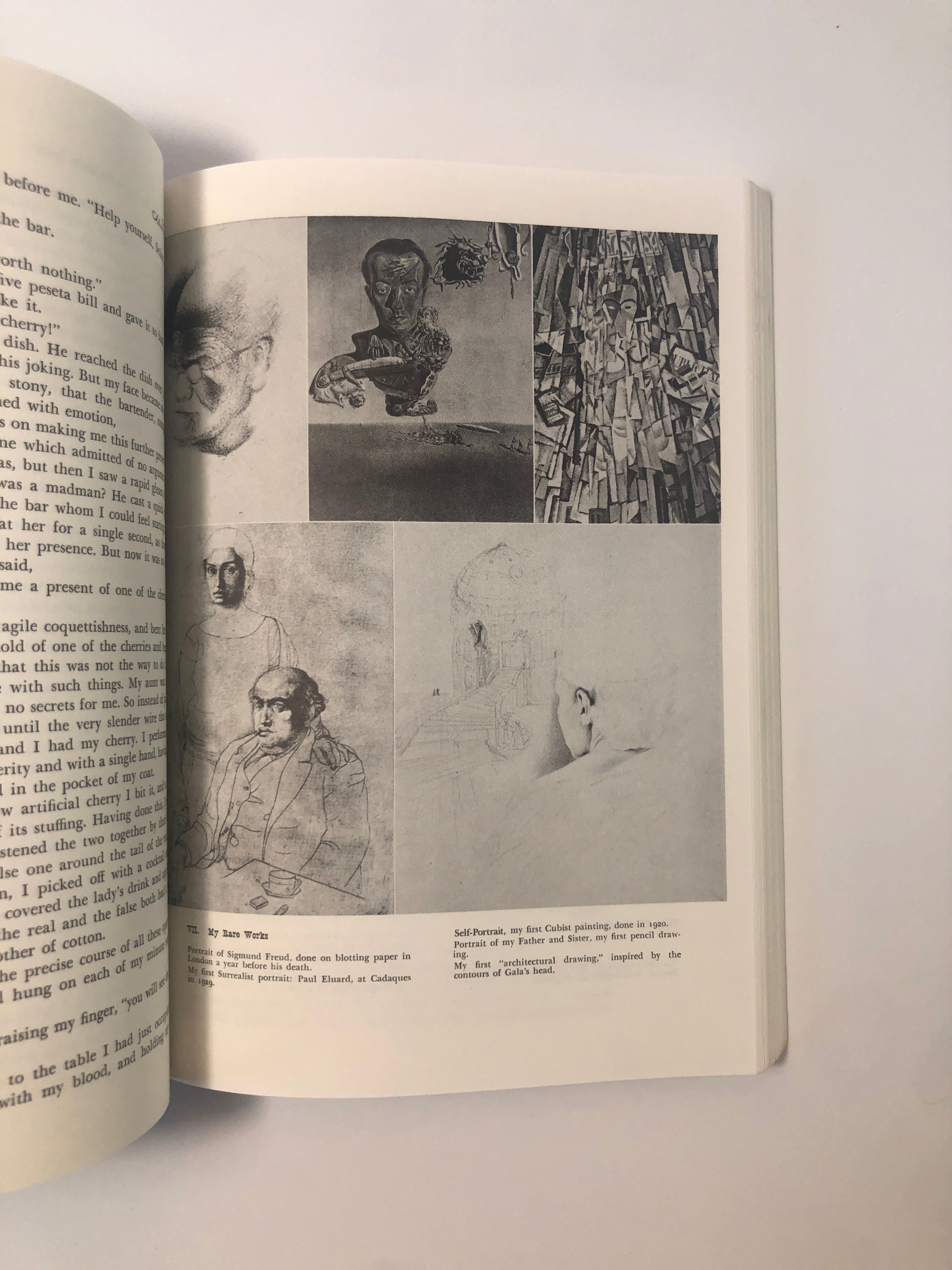 The Secret Life of Salvador Dalí by Salvador Dalí