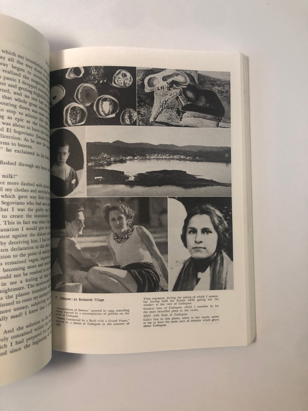 The Secret Life of Salvador Dalí by Salvador Dalí