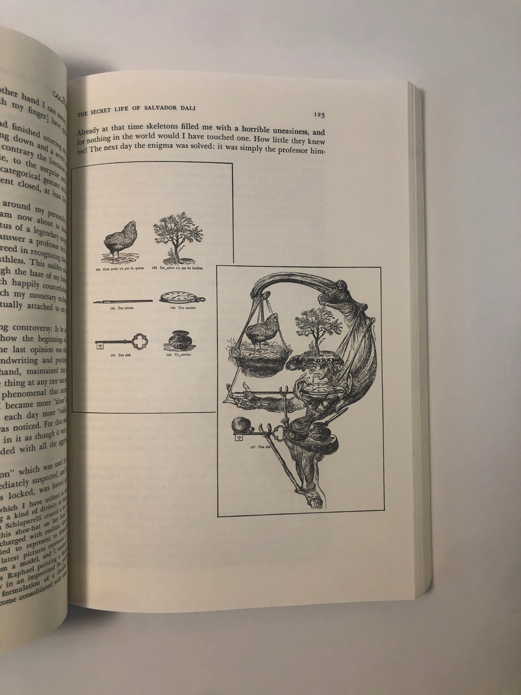 The Secret Life of Salvador Dalí by Salvador Dalí