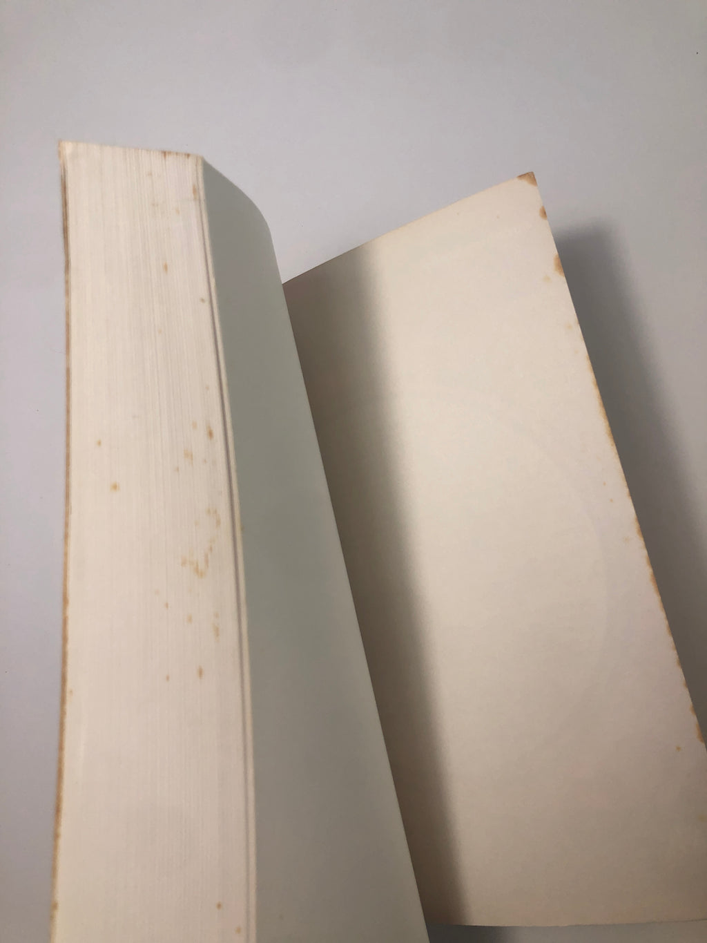 You Can't Win by Jack Black