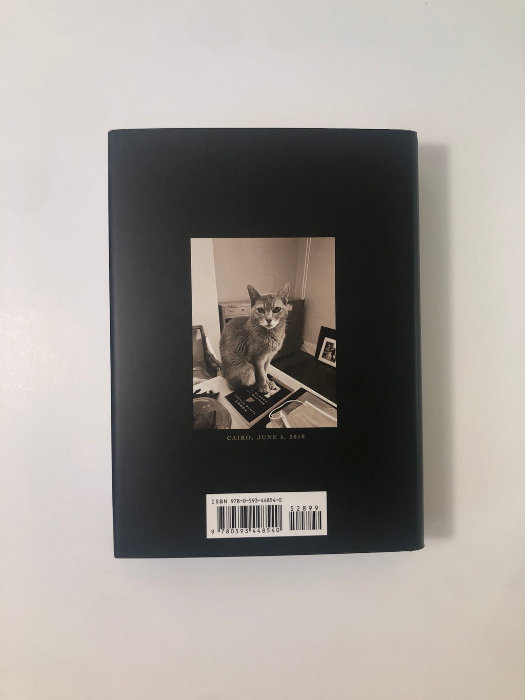 A Book of Days by Patti Smith