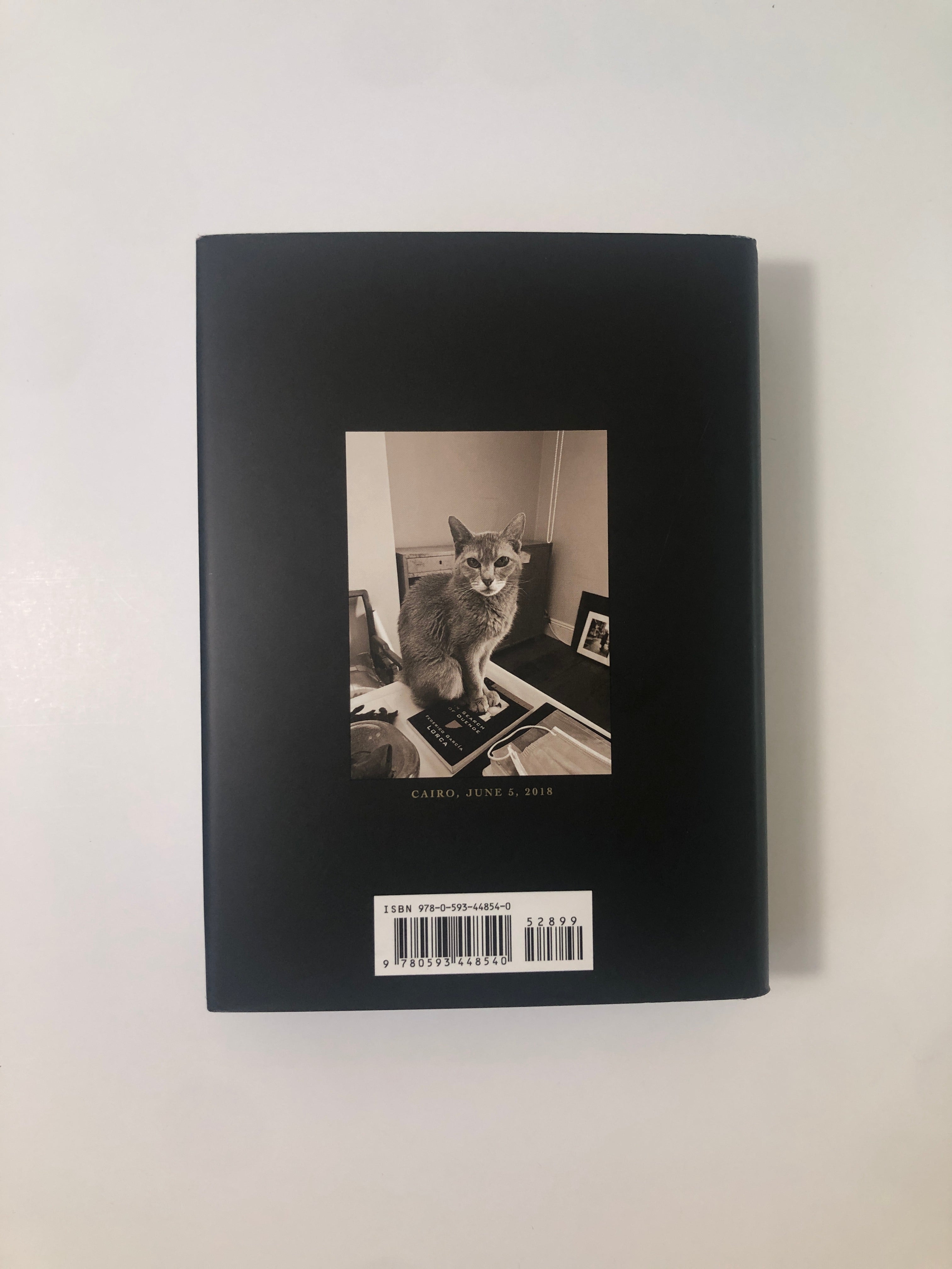 A Book of Days by Patti Smith