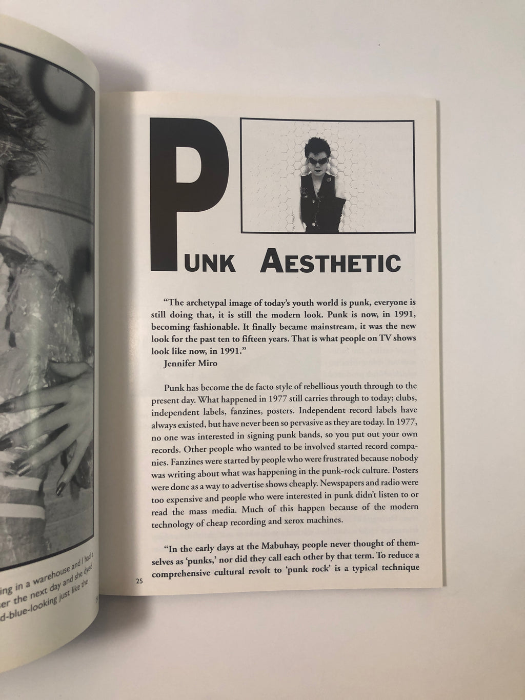 Punk '77 - An Inside Look at the San Francisco Rock 'N Roll Scene 1977 by James Stark