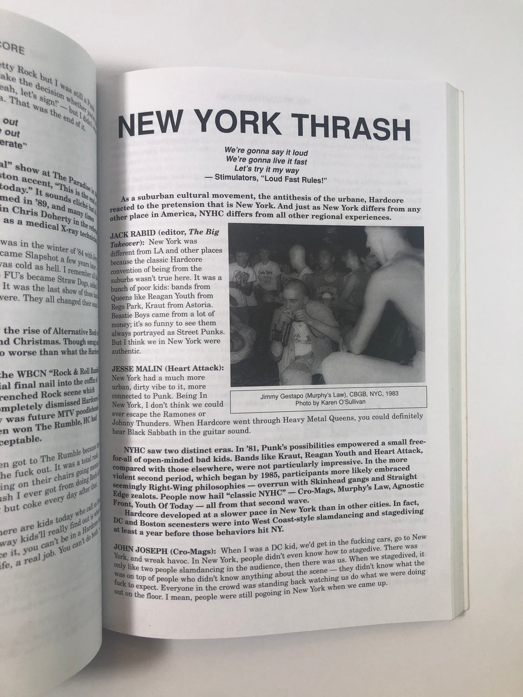 American Hardcore - A Tribal History by Steven Blush