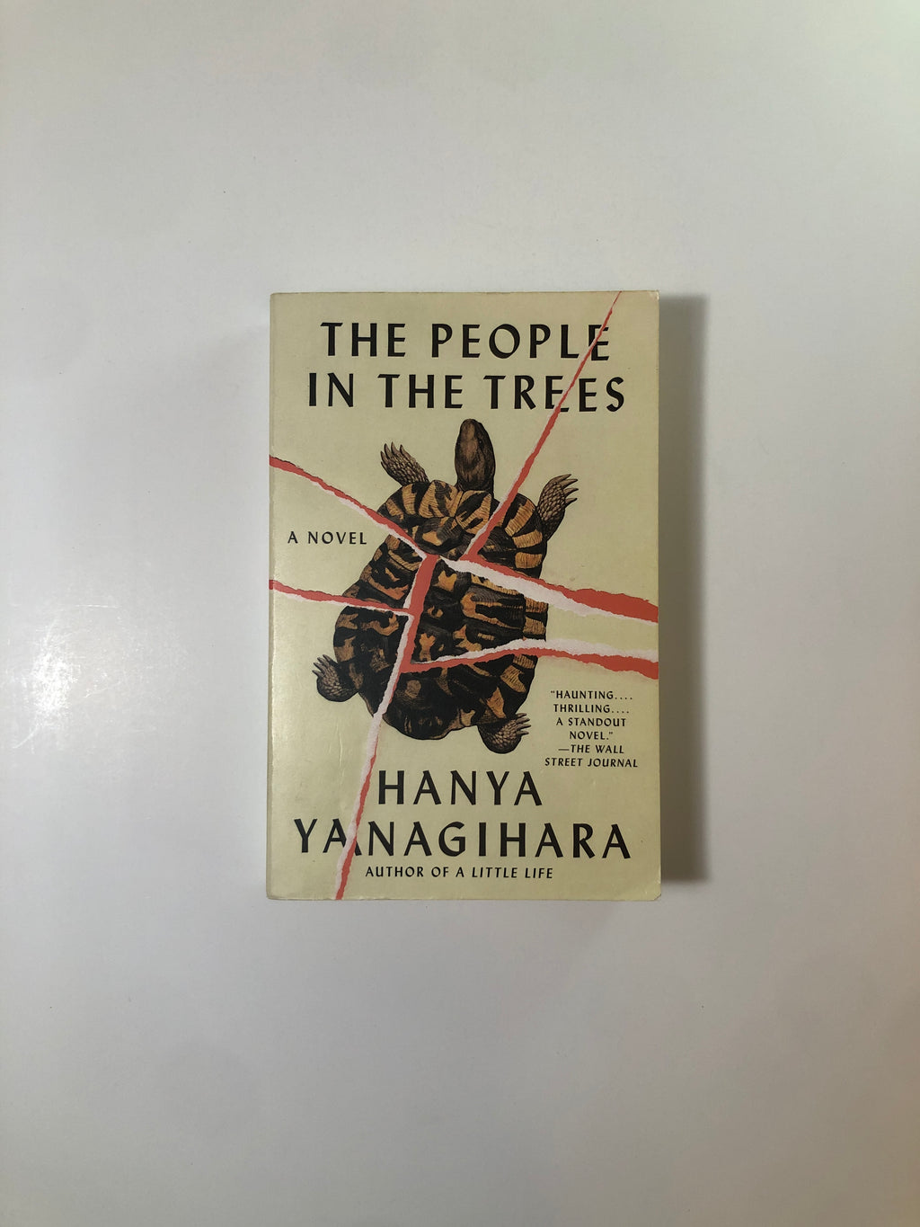 The People in the Trees by Hanya Yanagihara