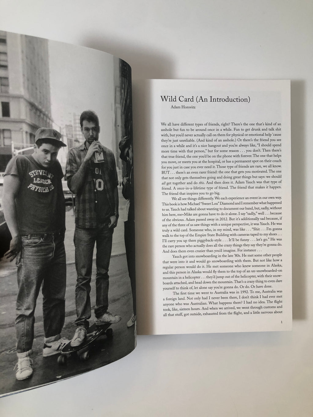 Beastie Boys Book by Michael Diamond and Adam Horovitz
