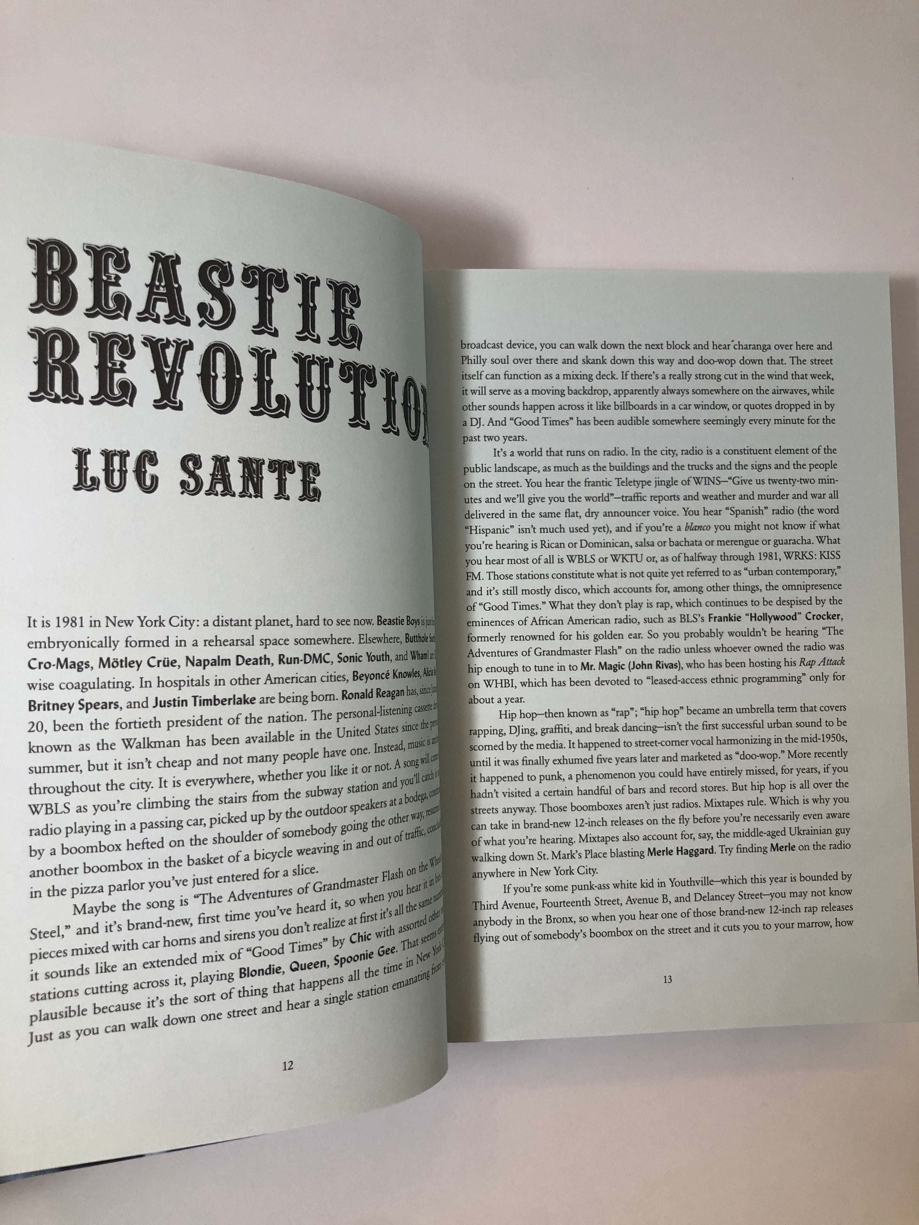 Beastie Boys Book by Michael Diamond and Adam Horovitz