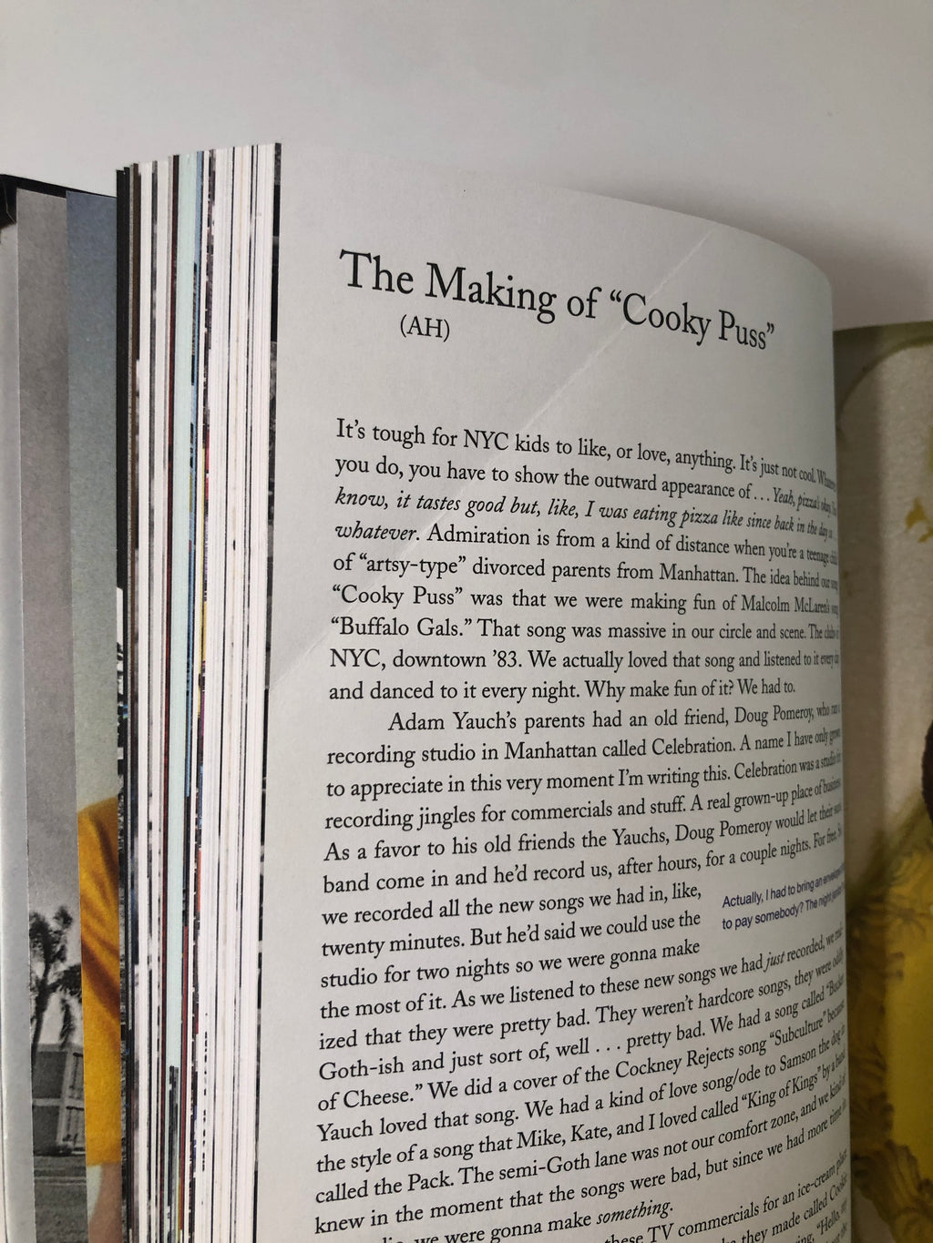 Beastie Boys Book by Michael Diamond and Adam Horovitz