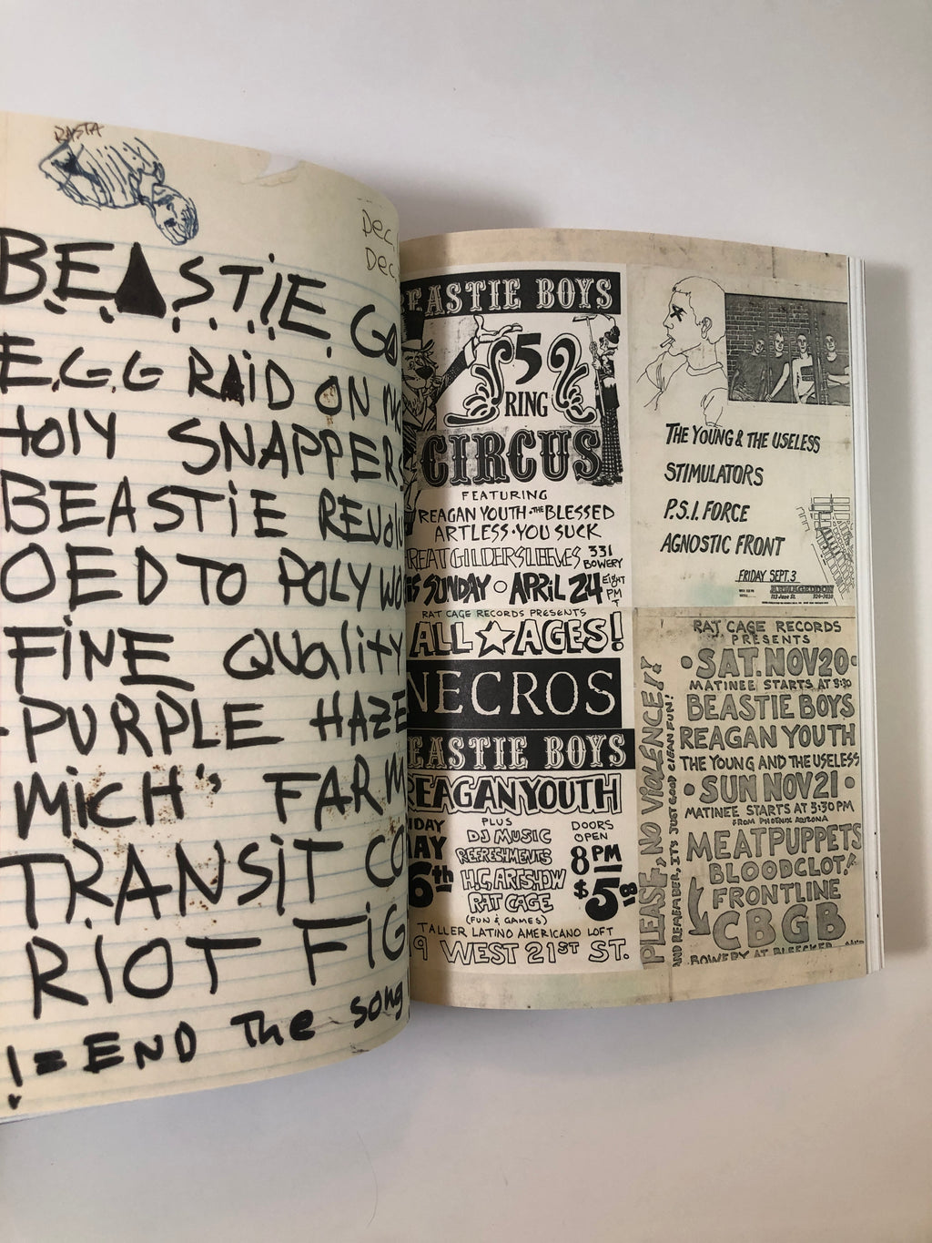 Beastie Boys Book by Michael Diamond and Adam Horovitz