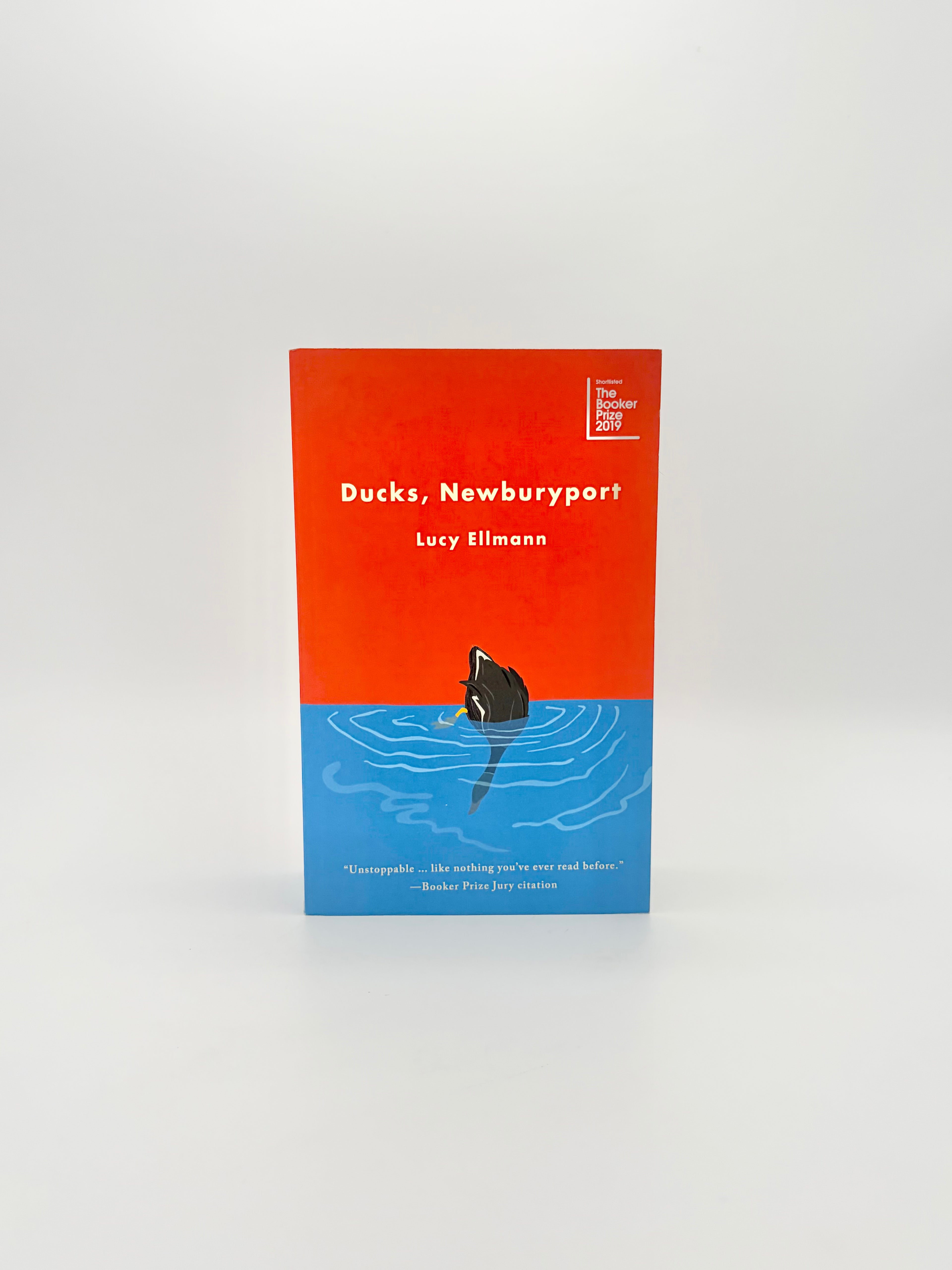 Ducks, Newburyport by Lucy Ellmann