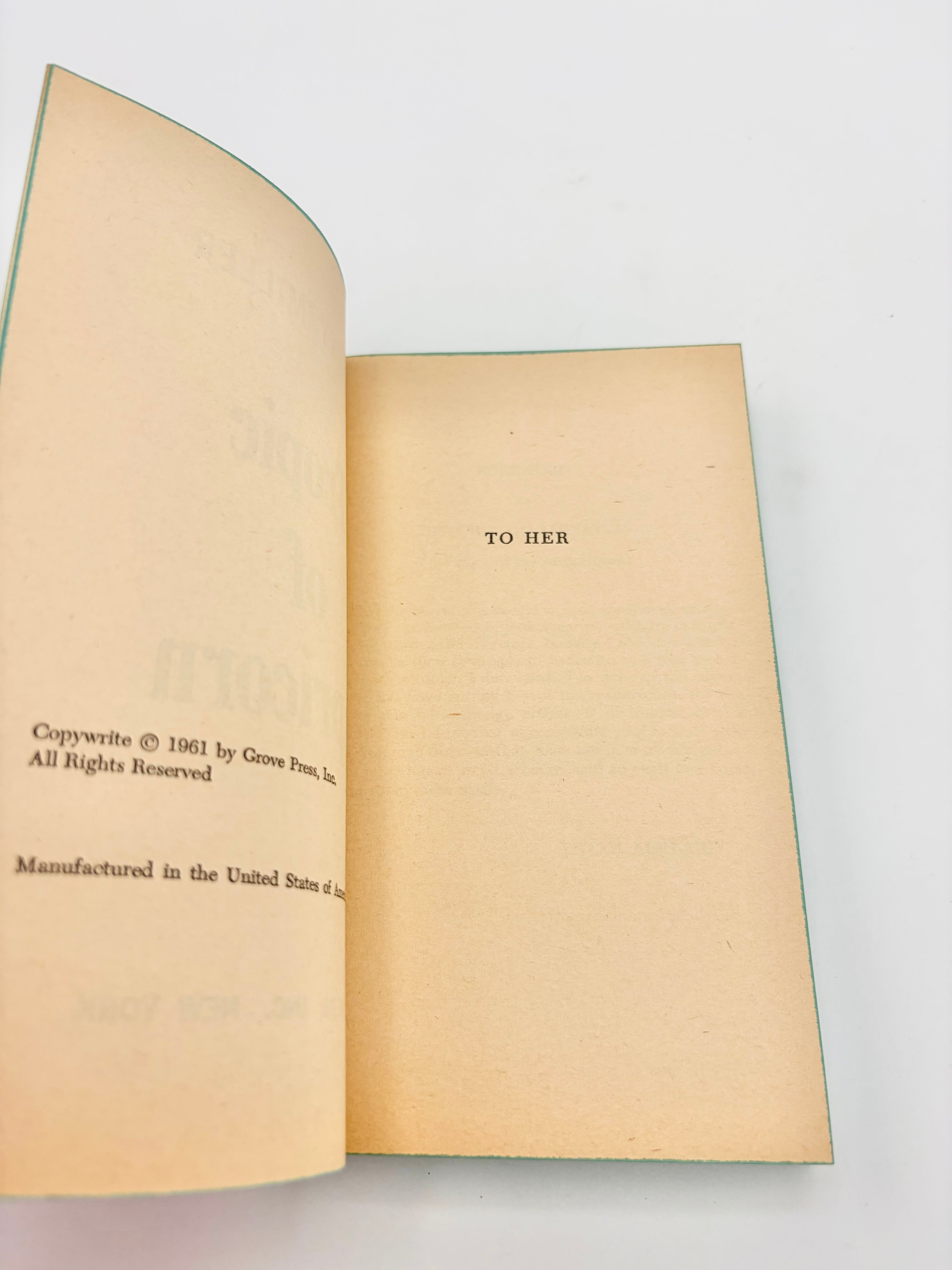 Tropic of Capricorn by Henry Miller