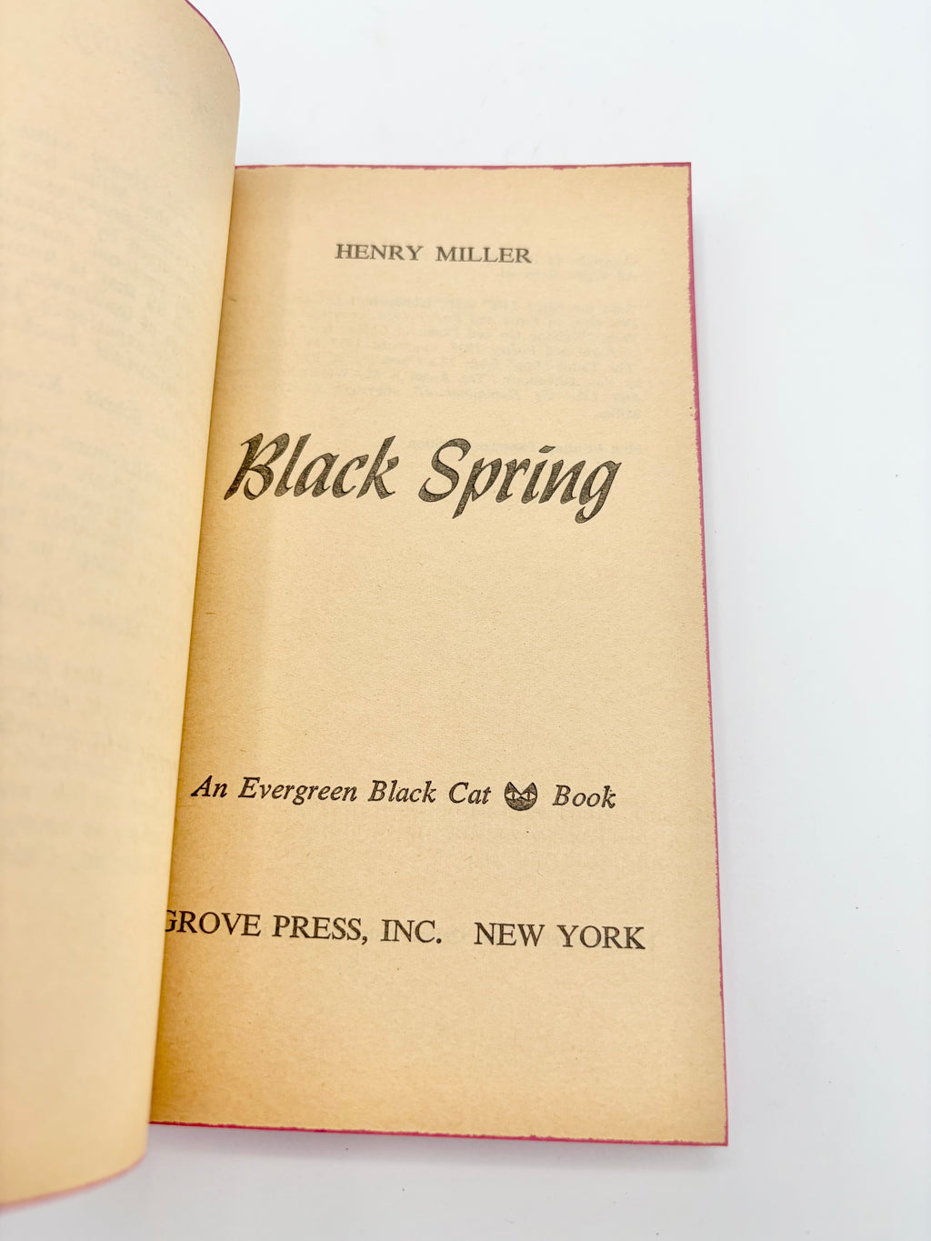 Black Spring by Henry Miller