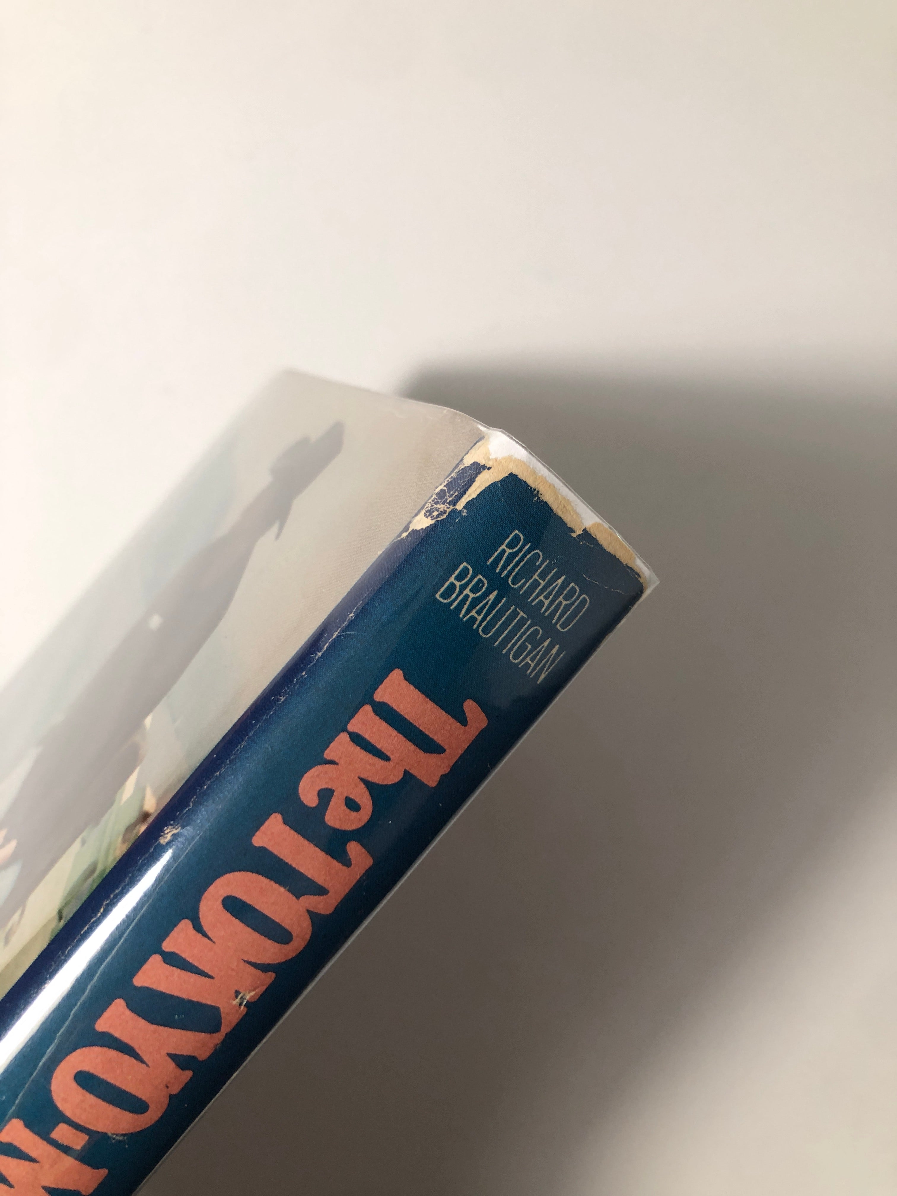 The Tokyo-Montana Express by Richard Brautigan