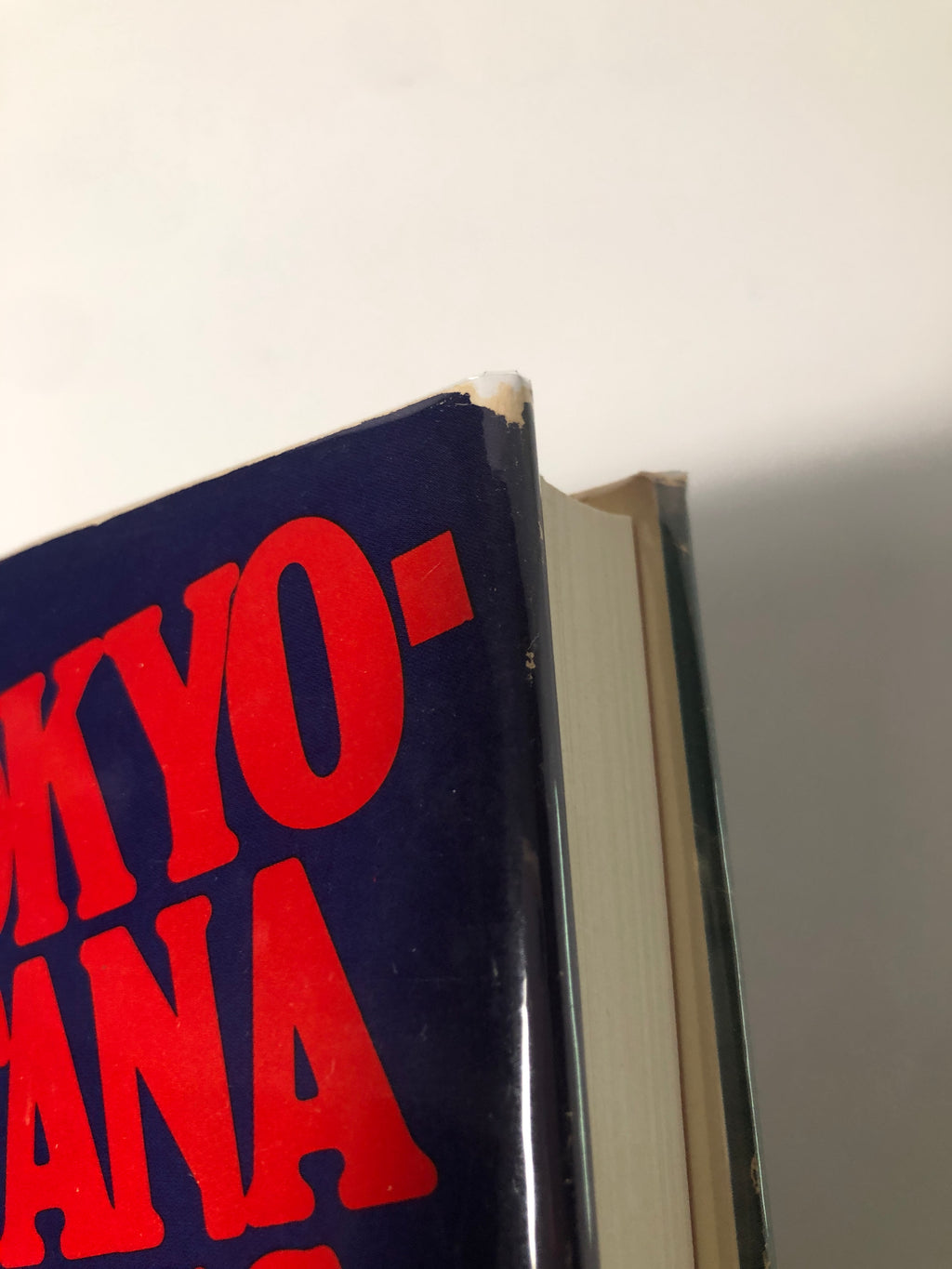 The Tokyo-Montana Express by Richard Brautigan