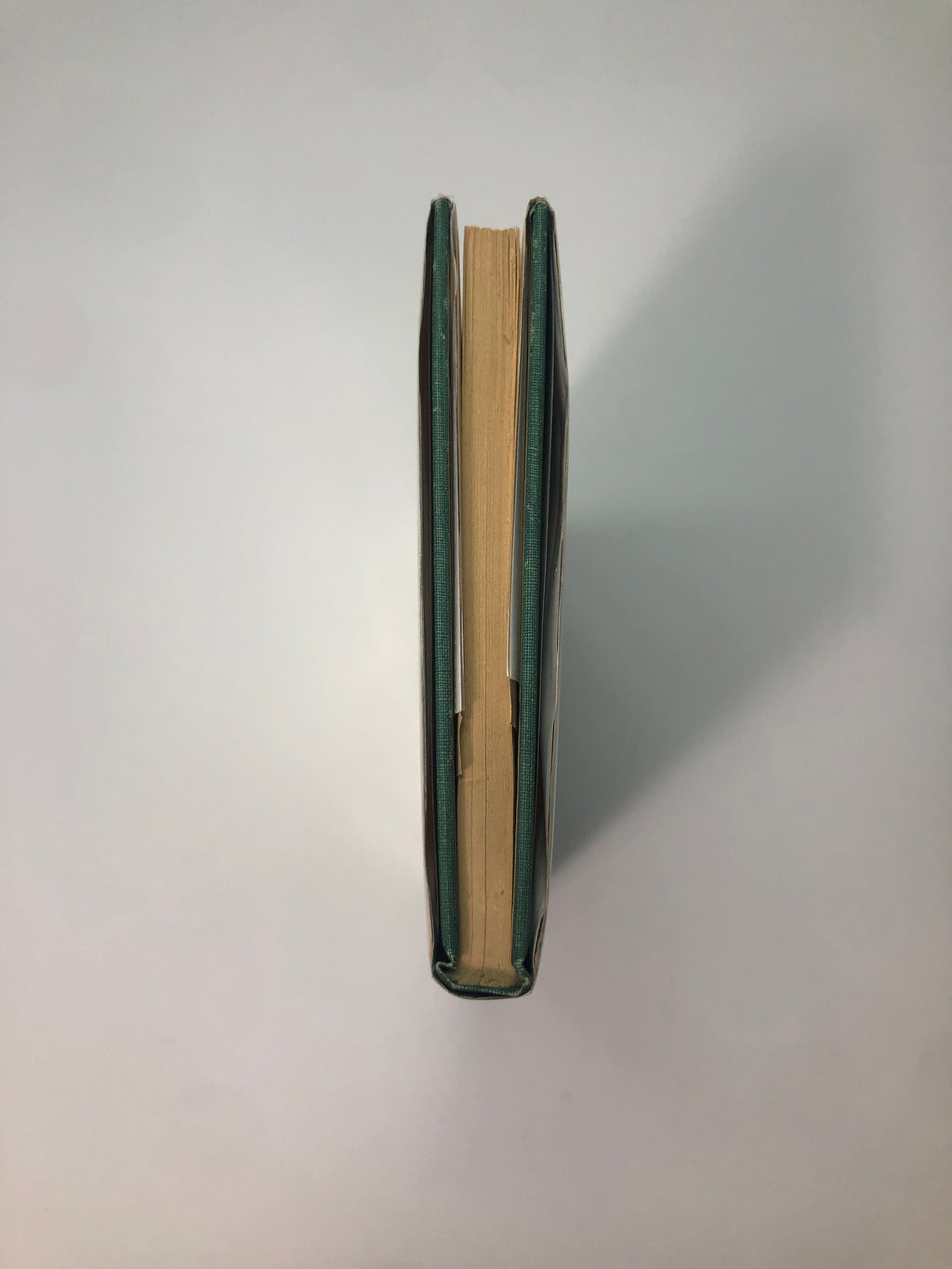 Animal Farm by George Orwell