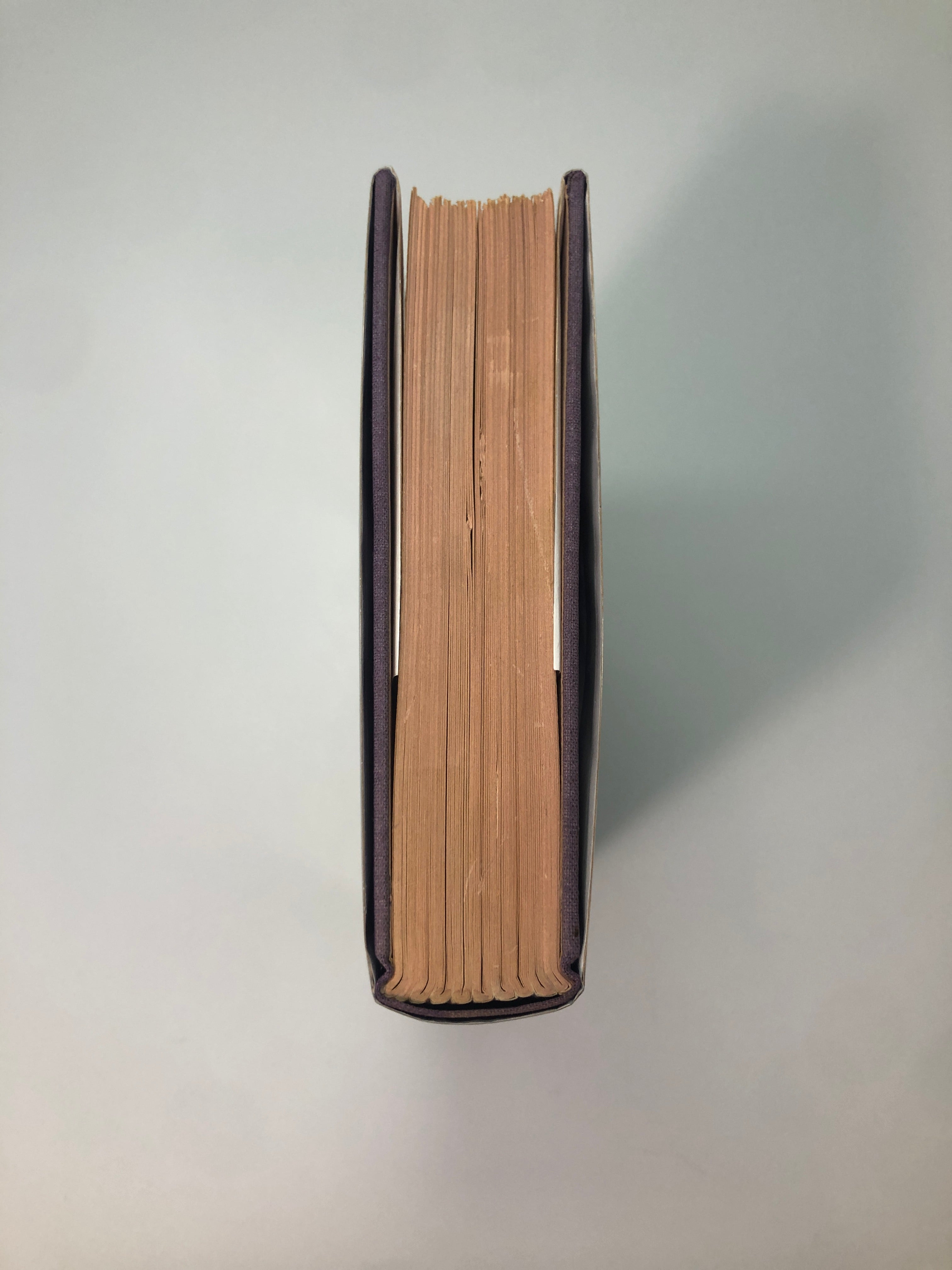 The Bell Jar by Sylvia Plath