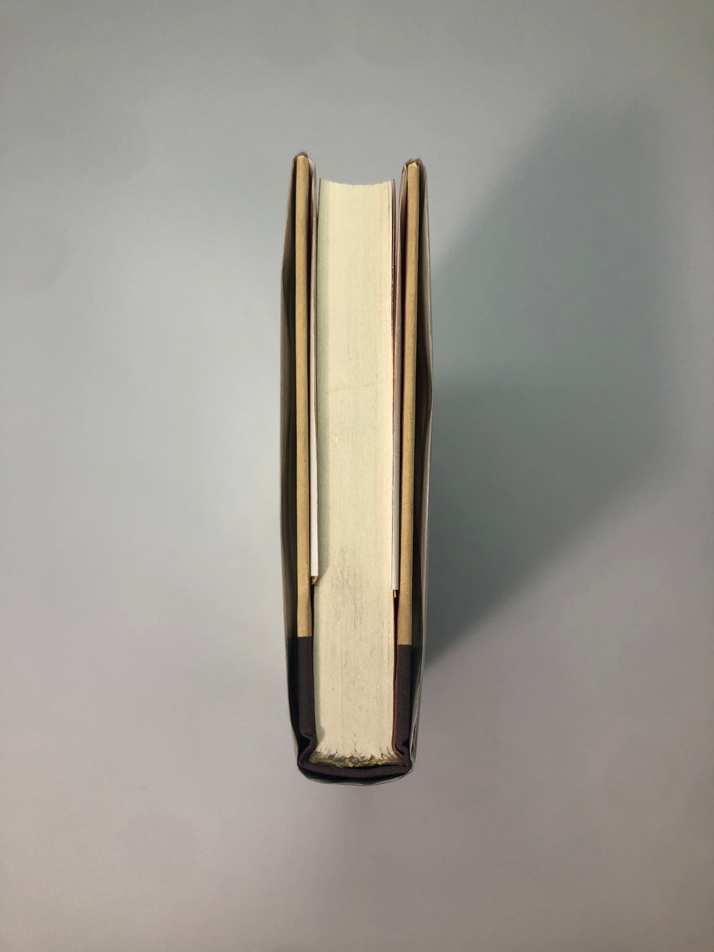 The Tokyo-Montana Express by Richard Brautigan