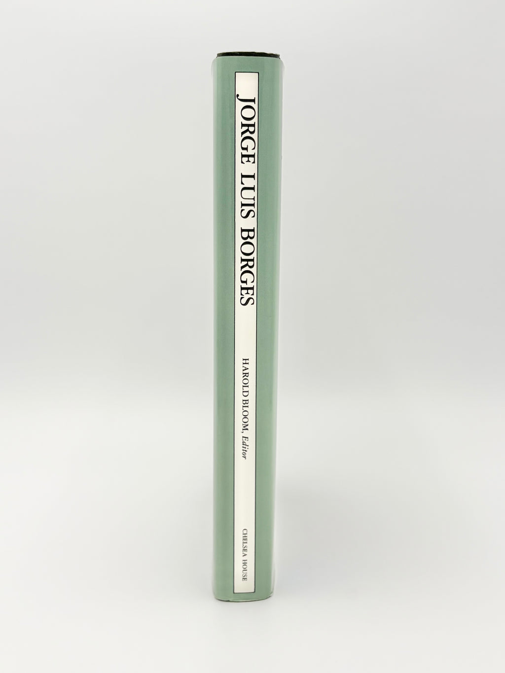 Modern Critical Views - Jorge Luis Borges edited by Harold Bloom