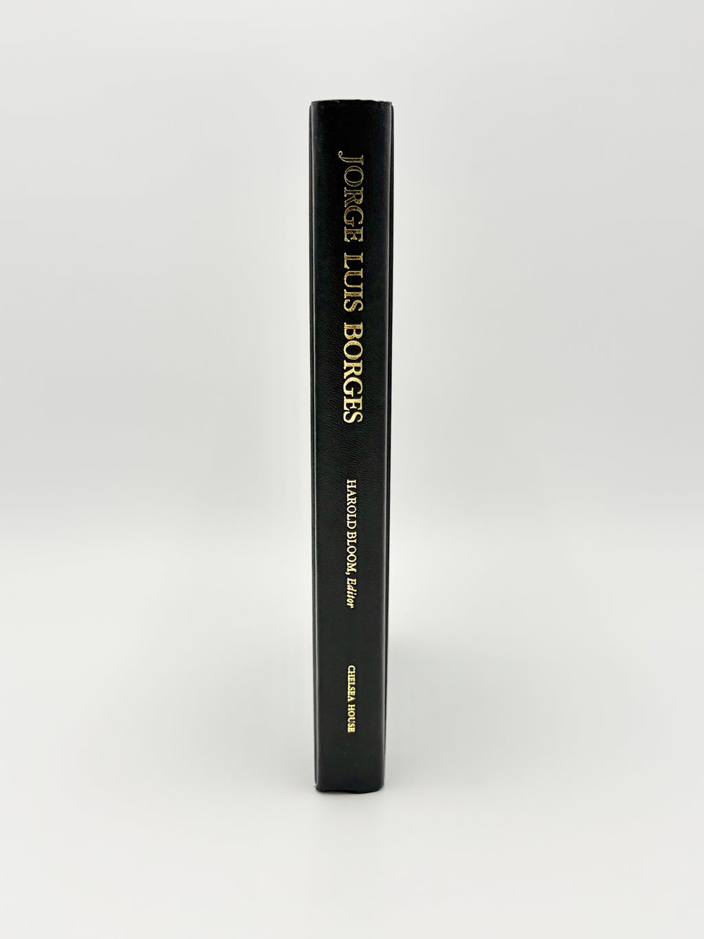 Modern Critical Views - Jorge Luis Borges edited by Harold Bloom