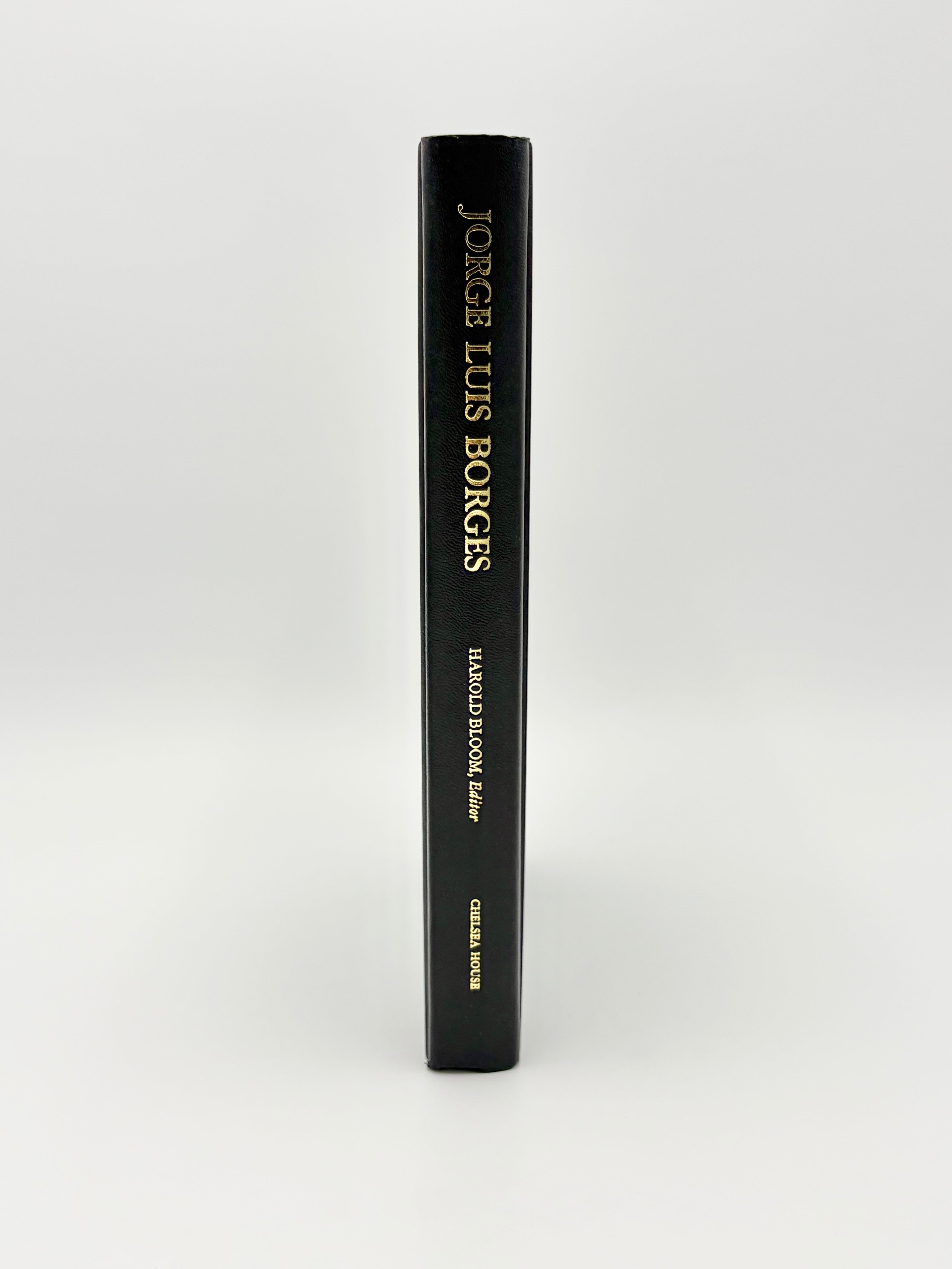 Modern Critical Views - Jorge Luis Borges edited by Harold Bloom