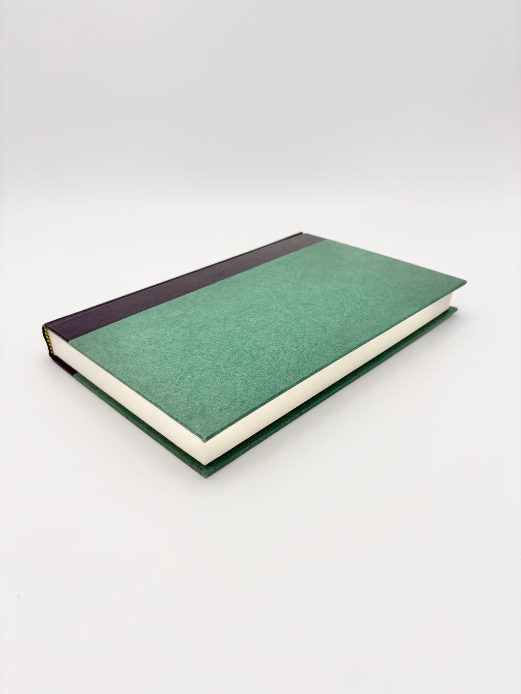 Modern Critical Views - Jorge Luis Borges edited by Harold Bloom